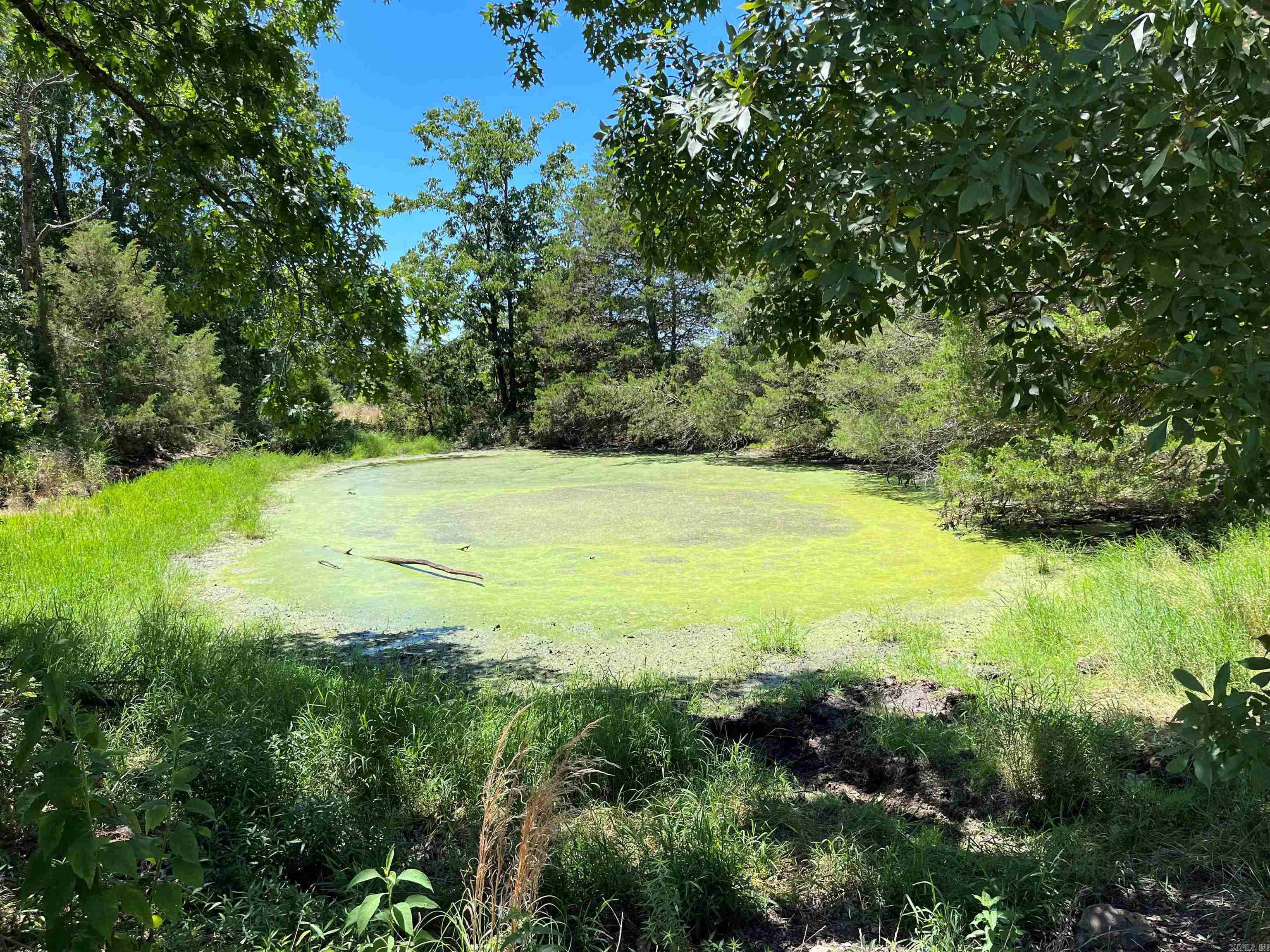 00  Gaylor  Mountain View, AR