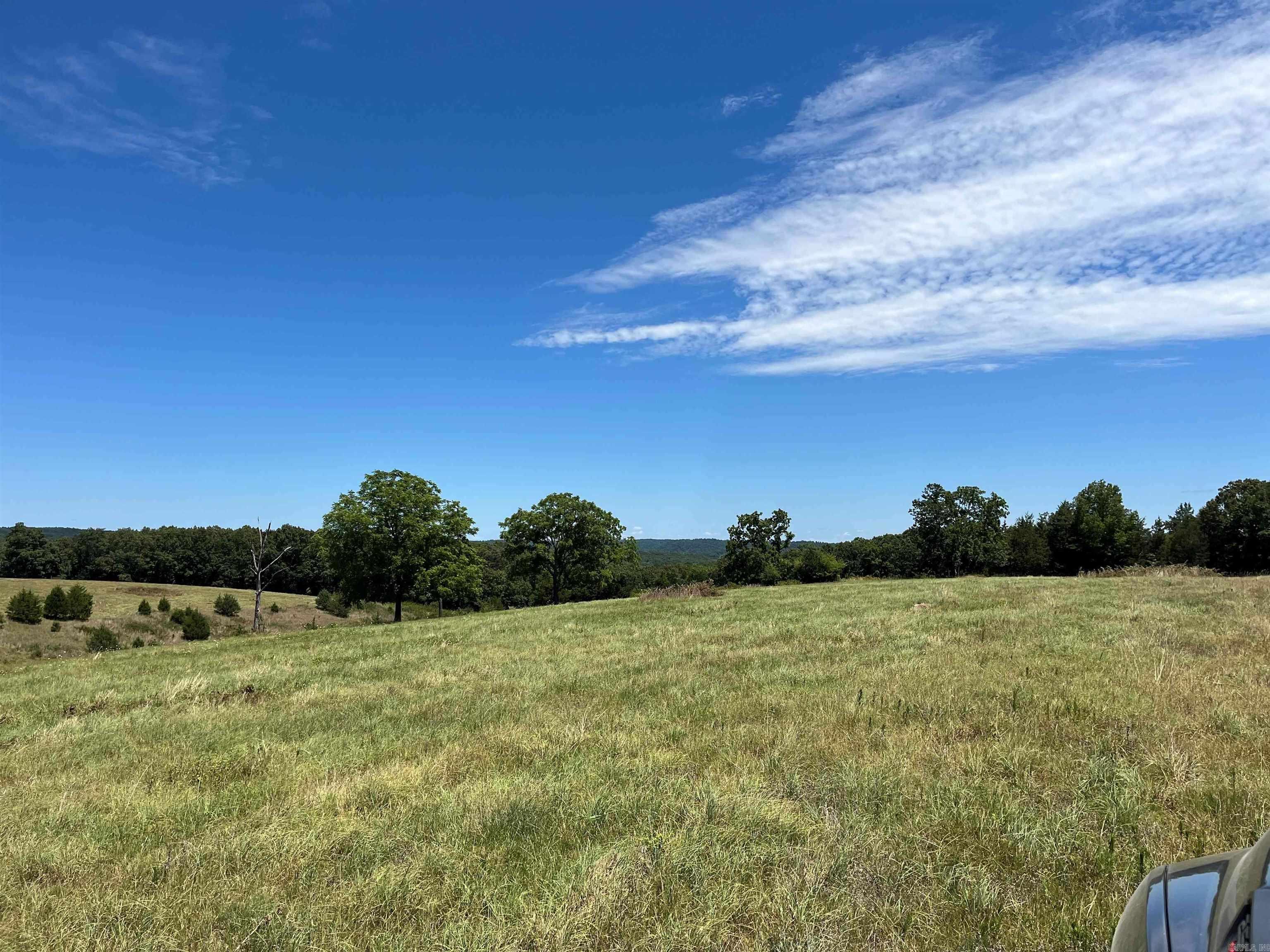 00  Gaylor  Mountain View, AR
