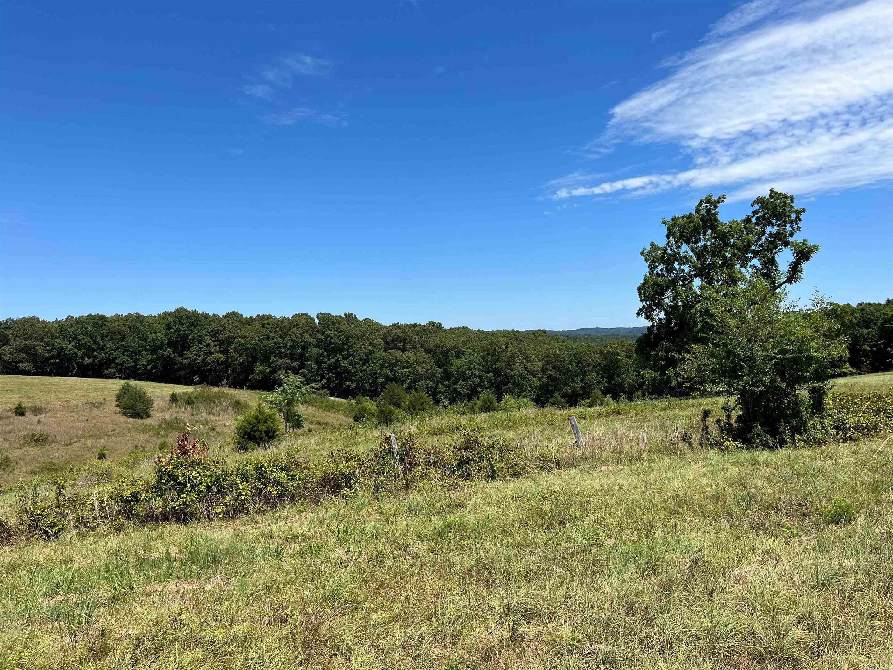 00  Gaylor  Mountain View, AR