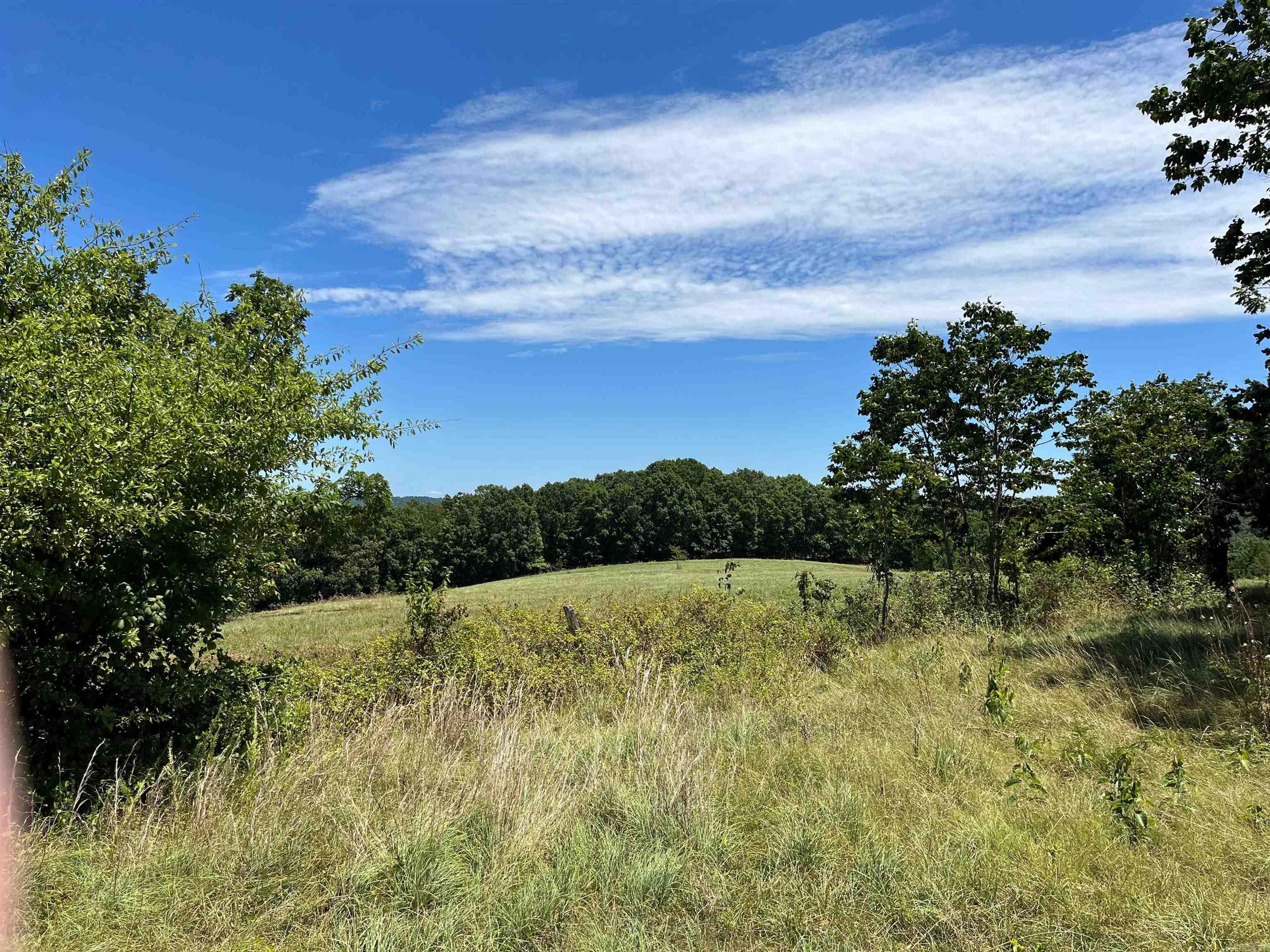 00  Gaylor  Mountain View, AR