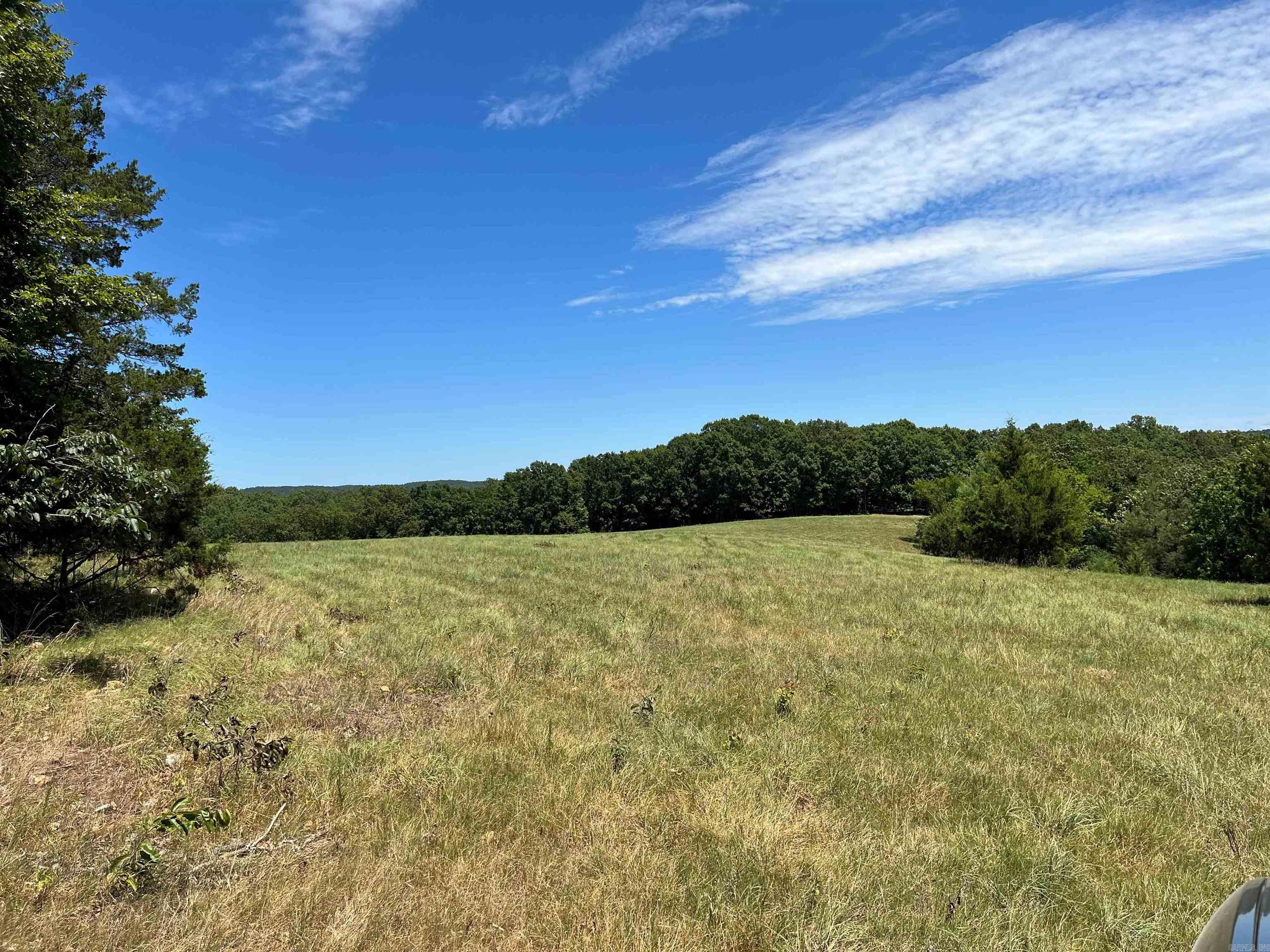 00  Gaylor  Mountain View, AR
