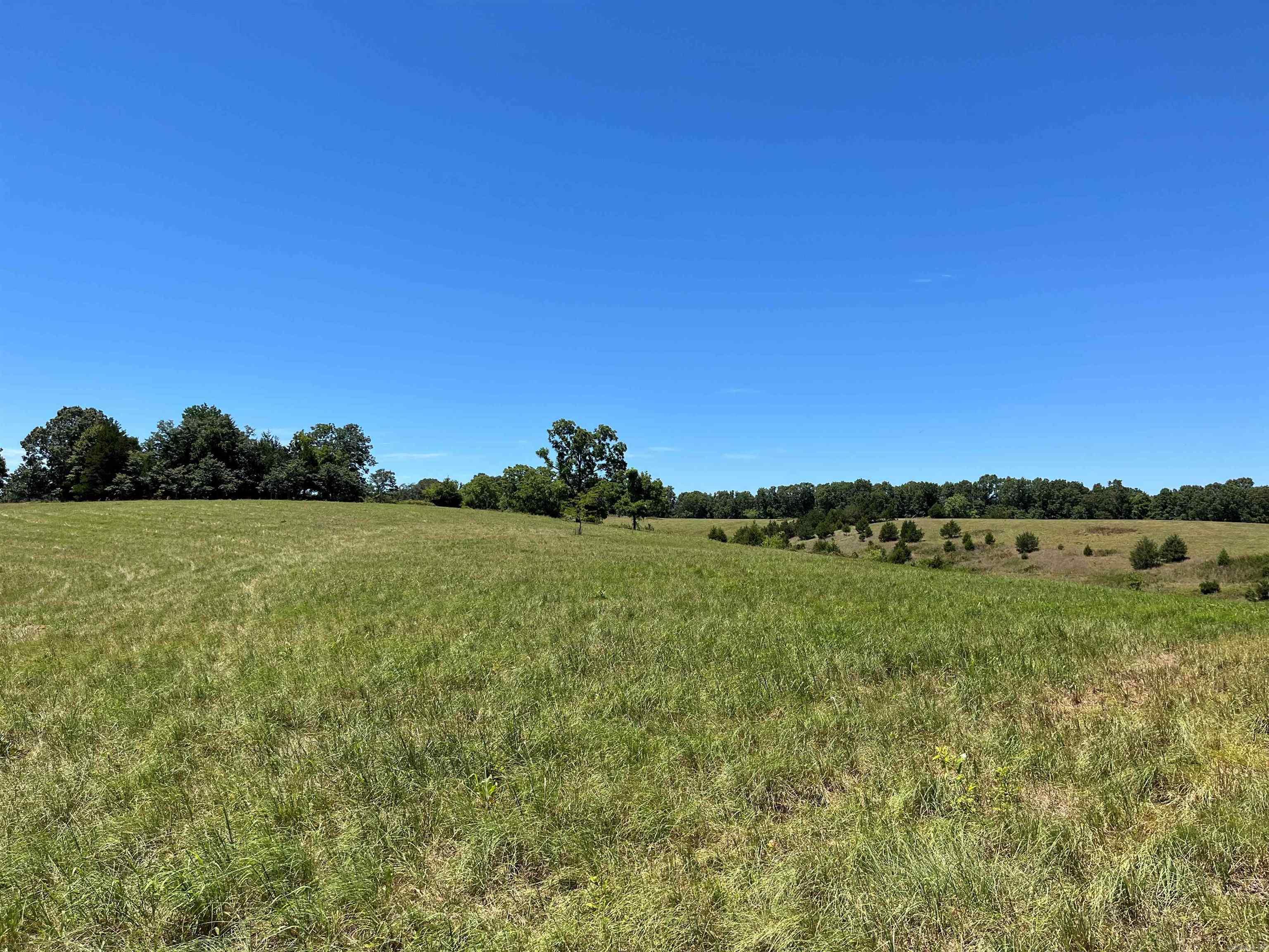 00  Gaylor  Mountain View, AR