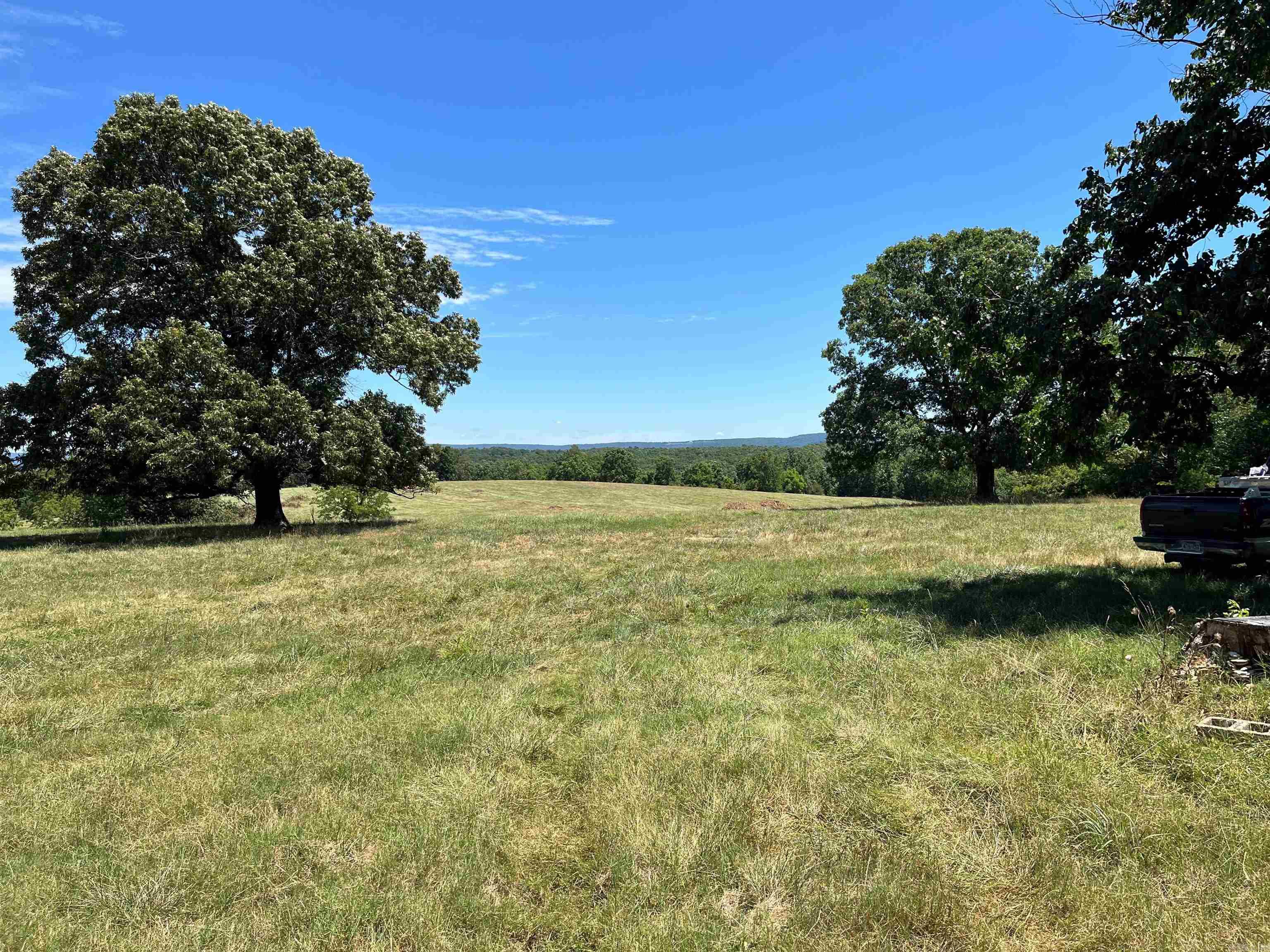 00  Gaylor  Mountain View, AR