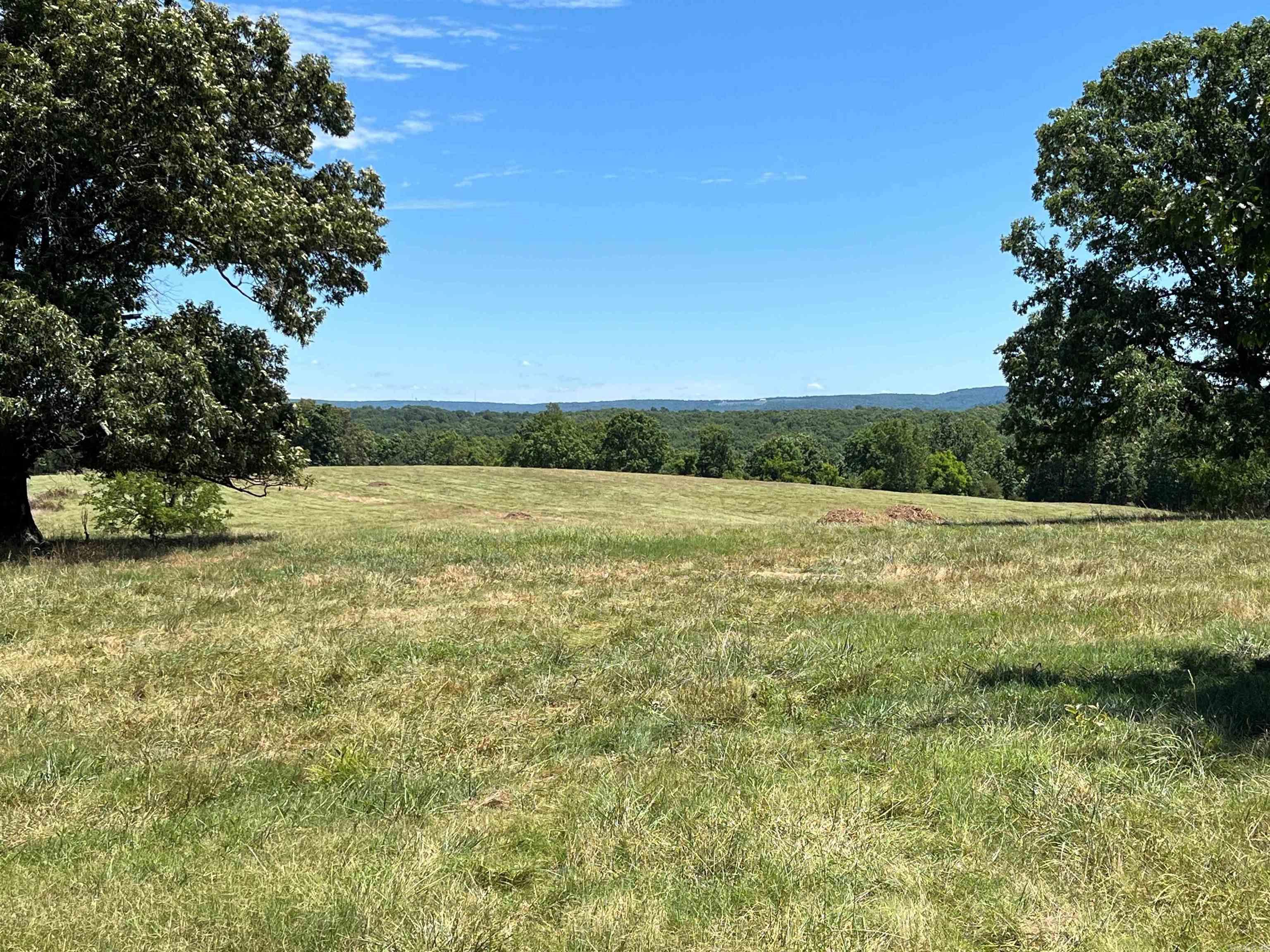 00  Gaylor  Mountain View, AR