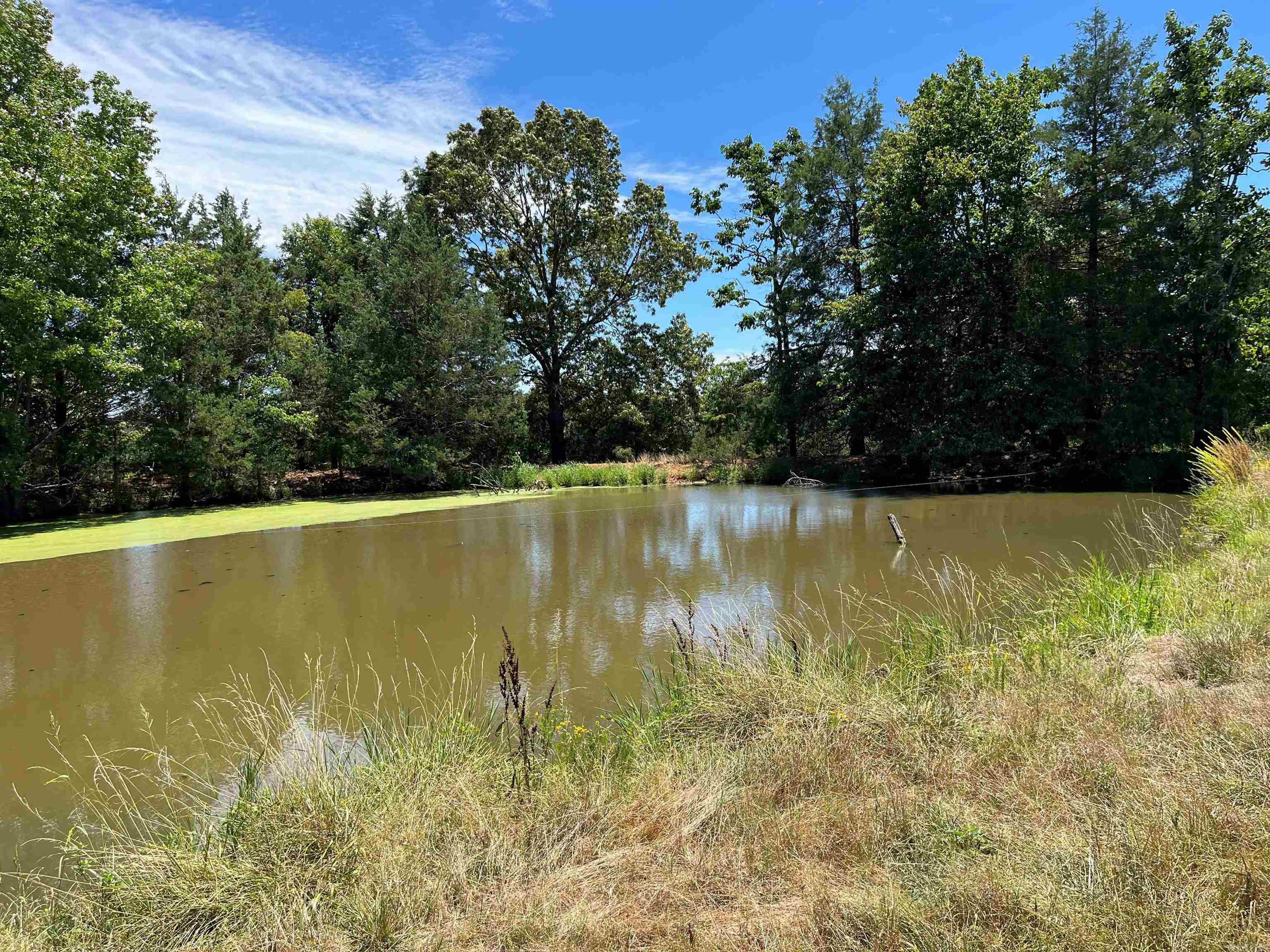 00  Gaylor  Mountain View, AR
