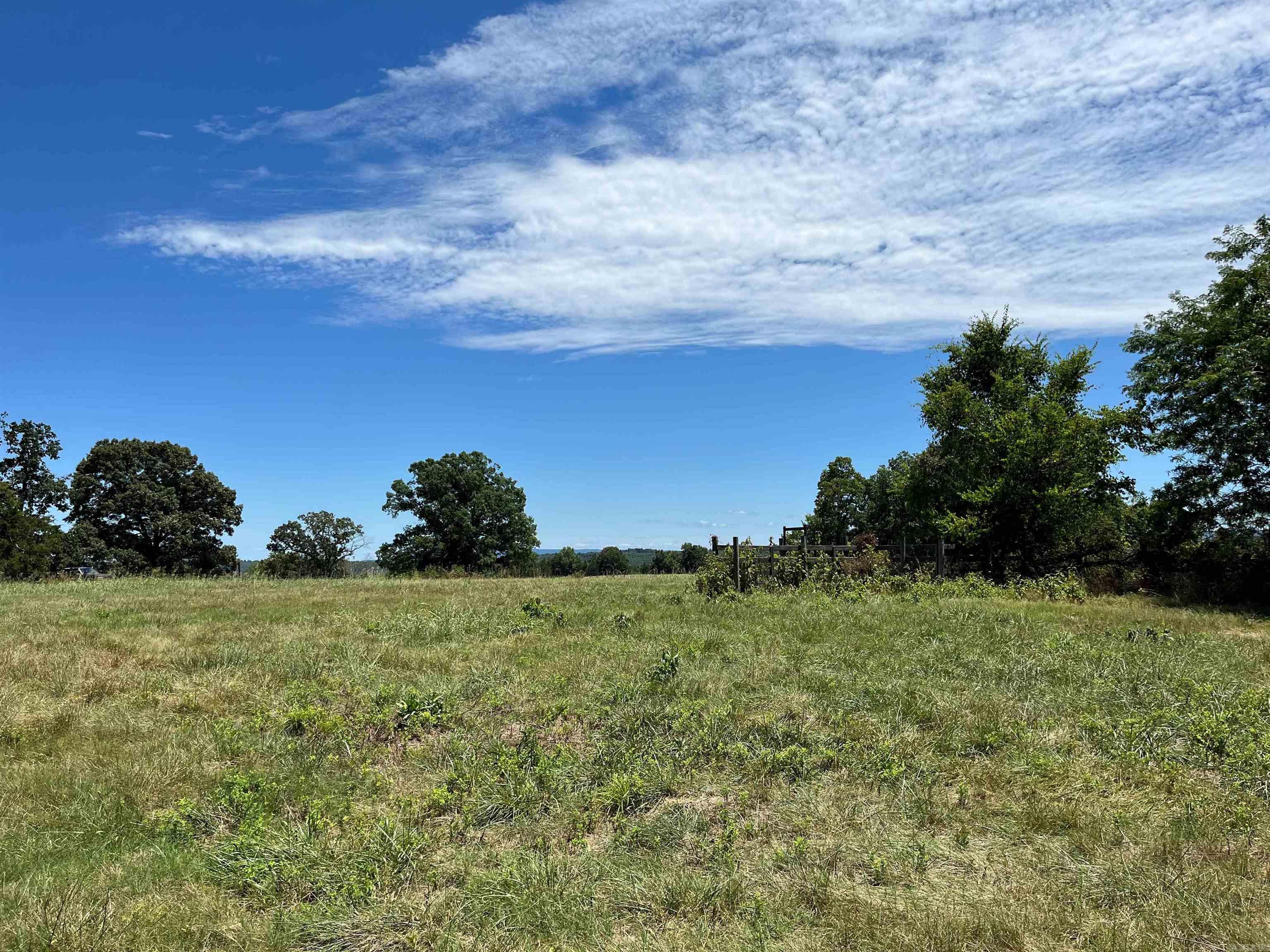 00  Gaylor  Mountain View, AR