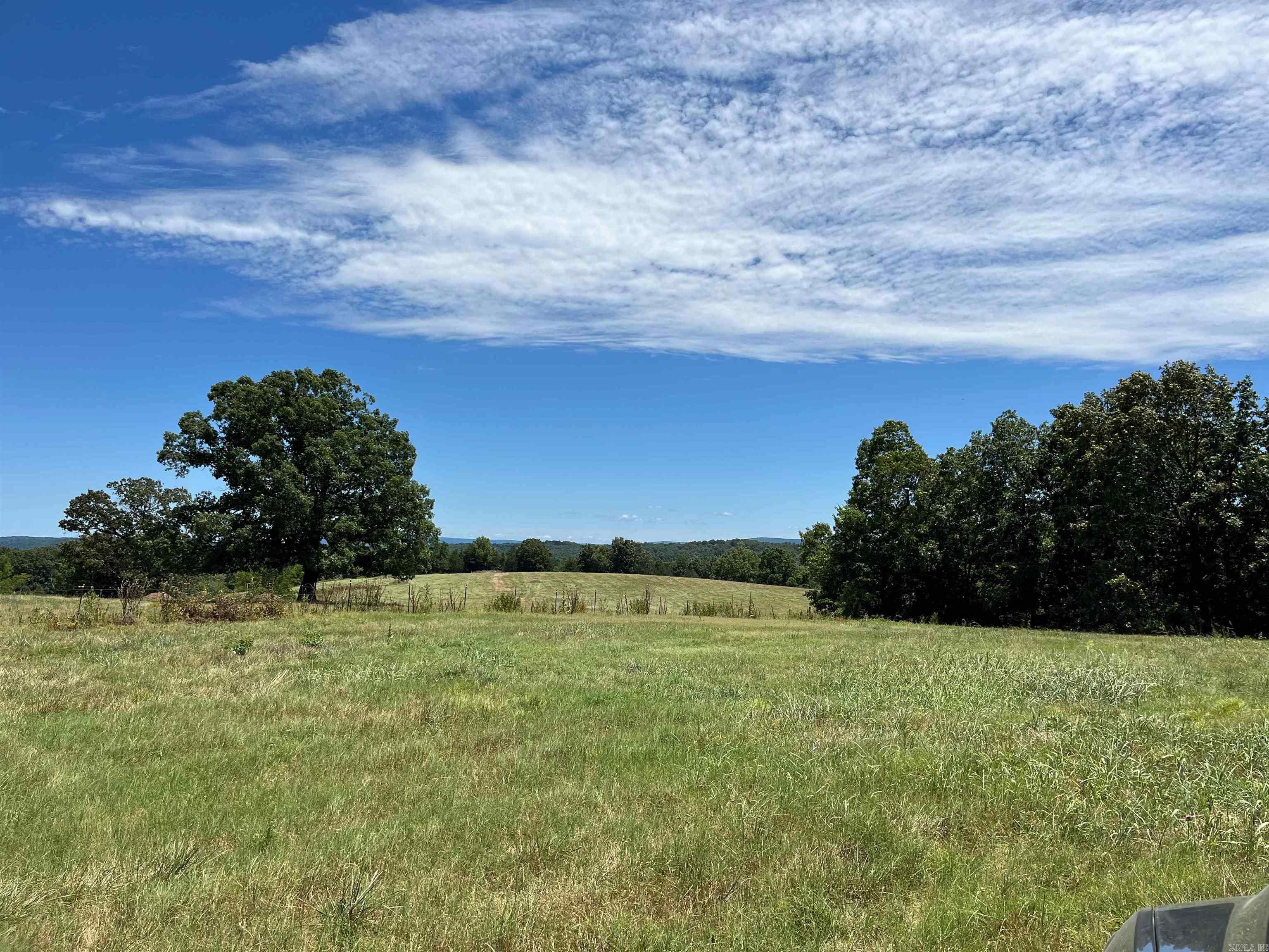 00  Gaylor  Mountain View, AR