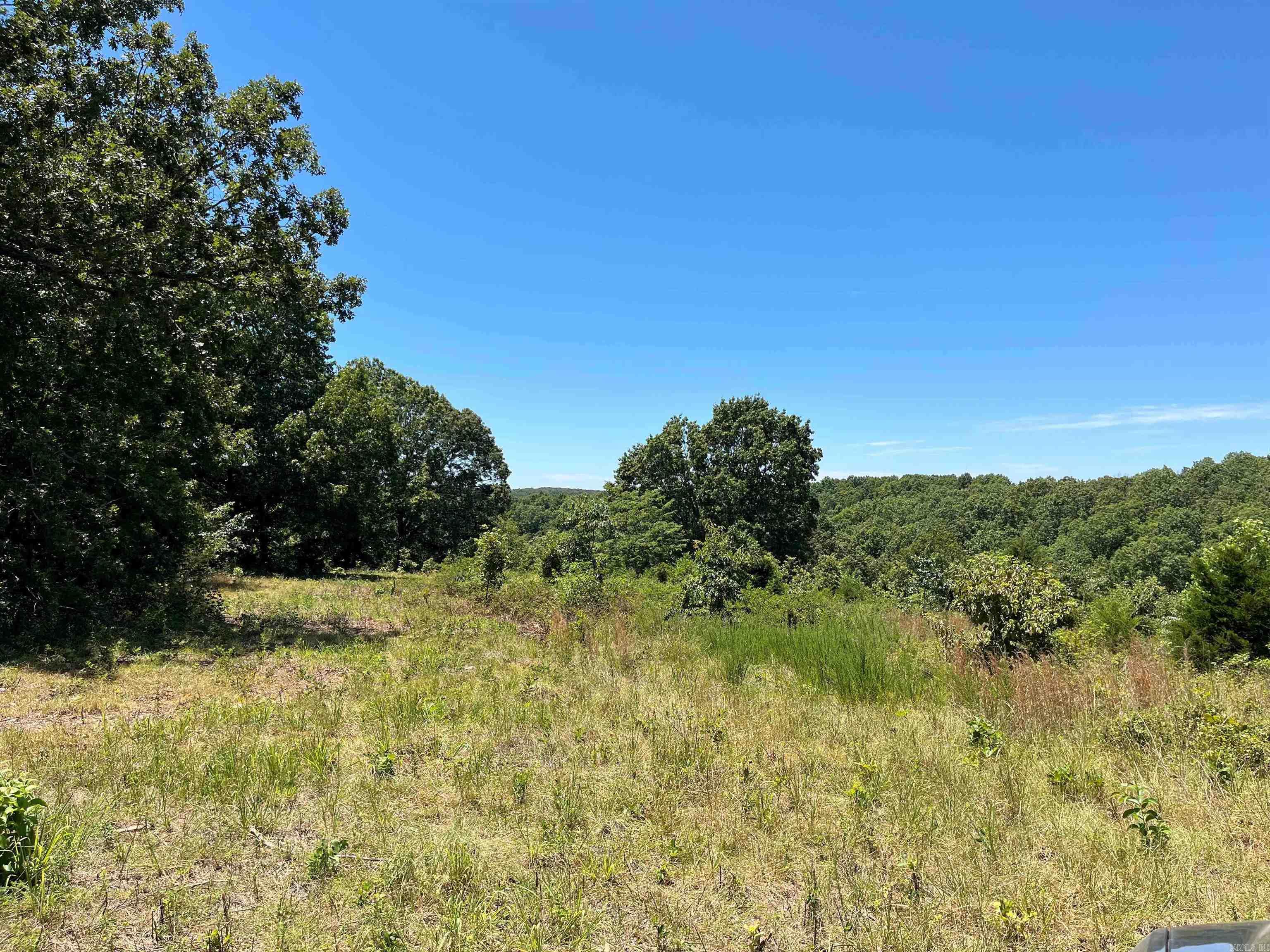 00  Gaylor  Mountain View, AR
