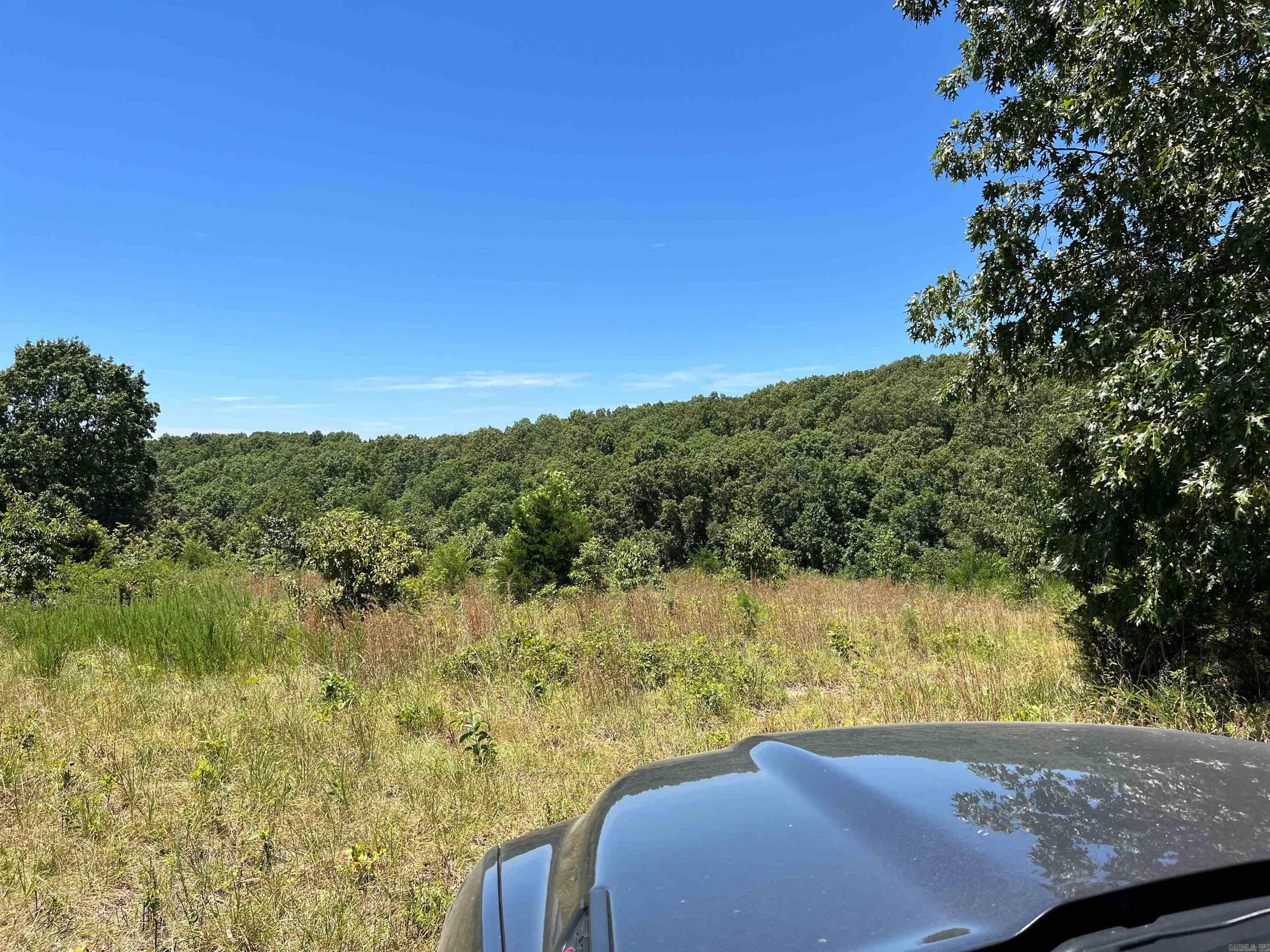 00  Gaylor  Mountain View, AR