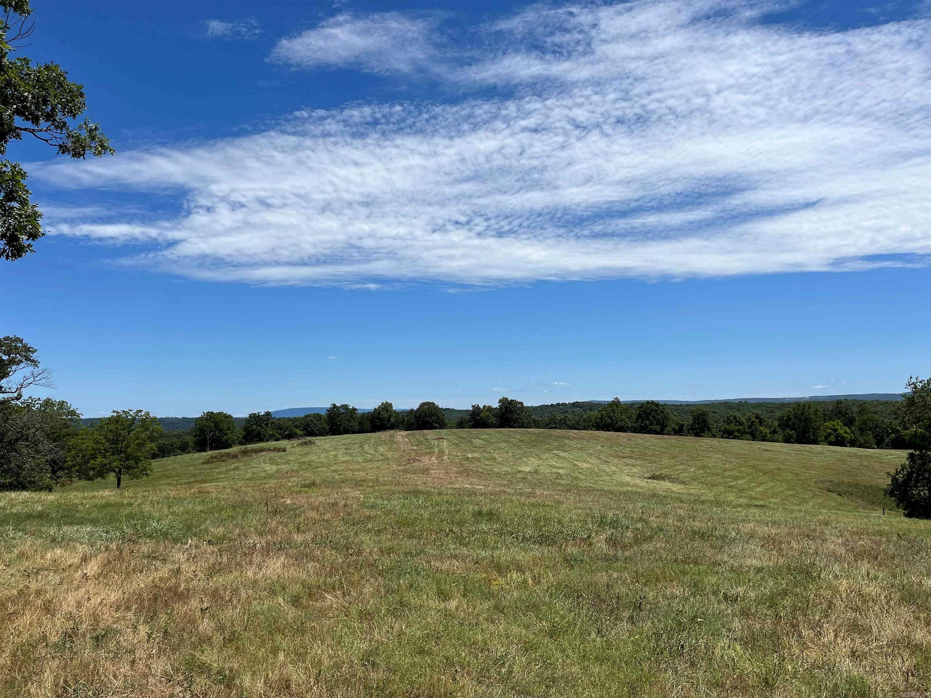 00  Gaylor  Mountain View, AR