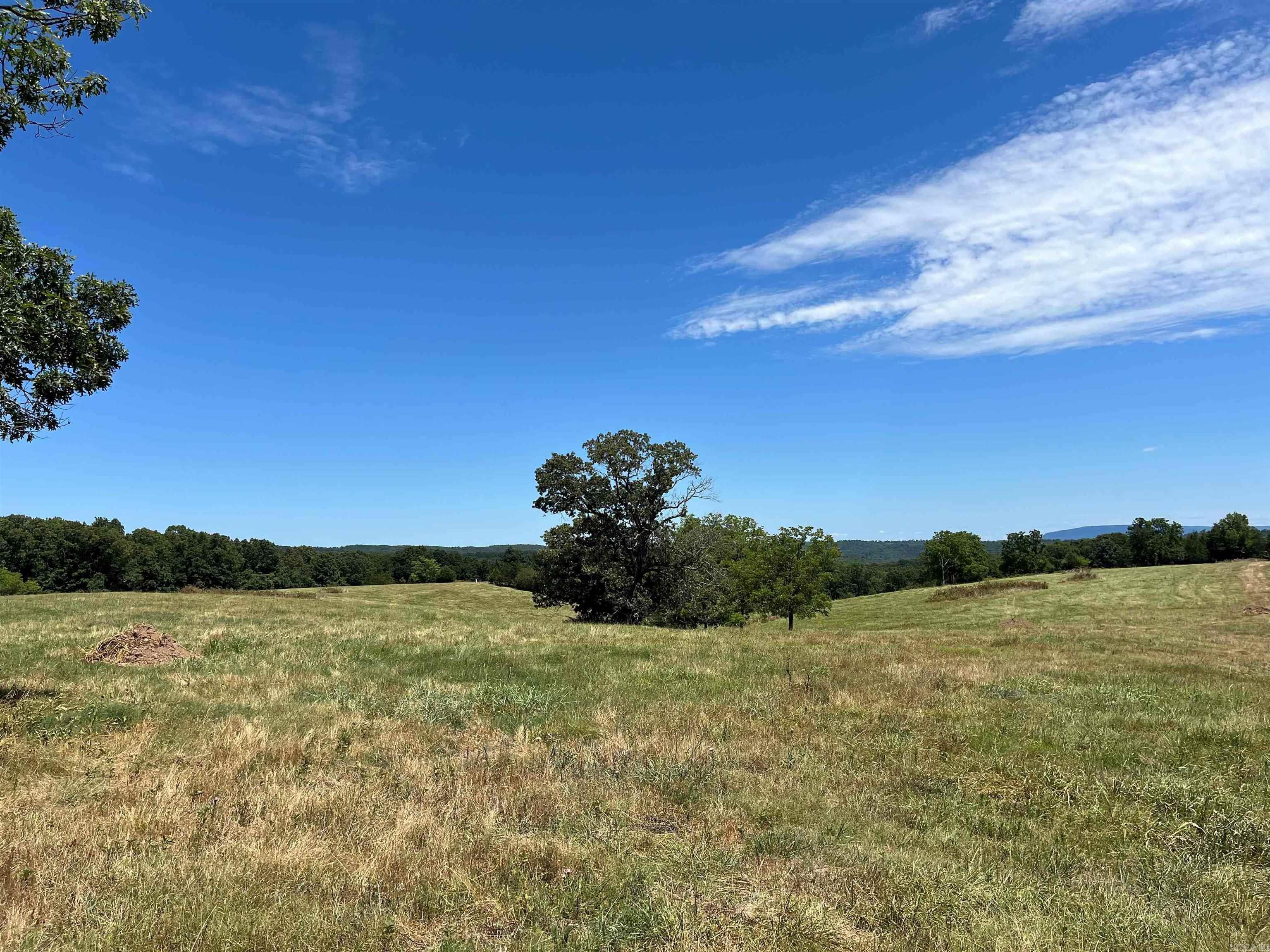 00  Gaylor  Mountain View, AR