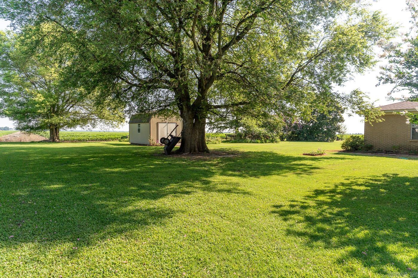 237  County Road 882  Caraway, AR