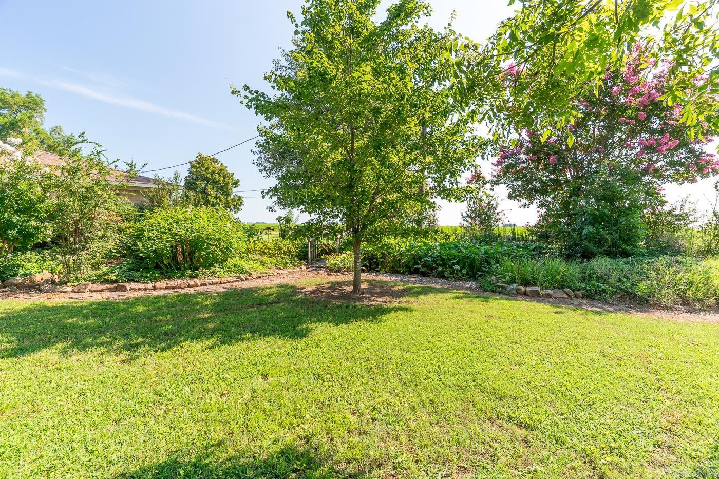237  County Road 882  Caraway, AR