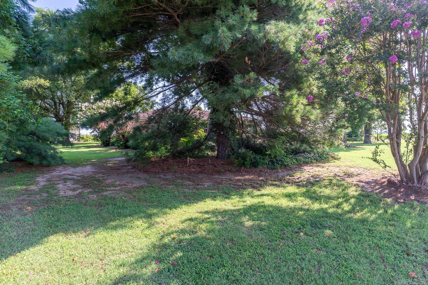237  County Road 882  Caraway, AR