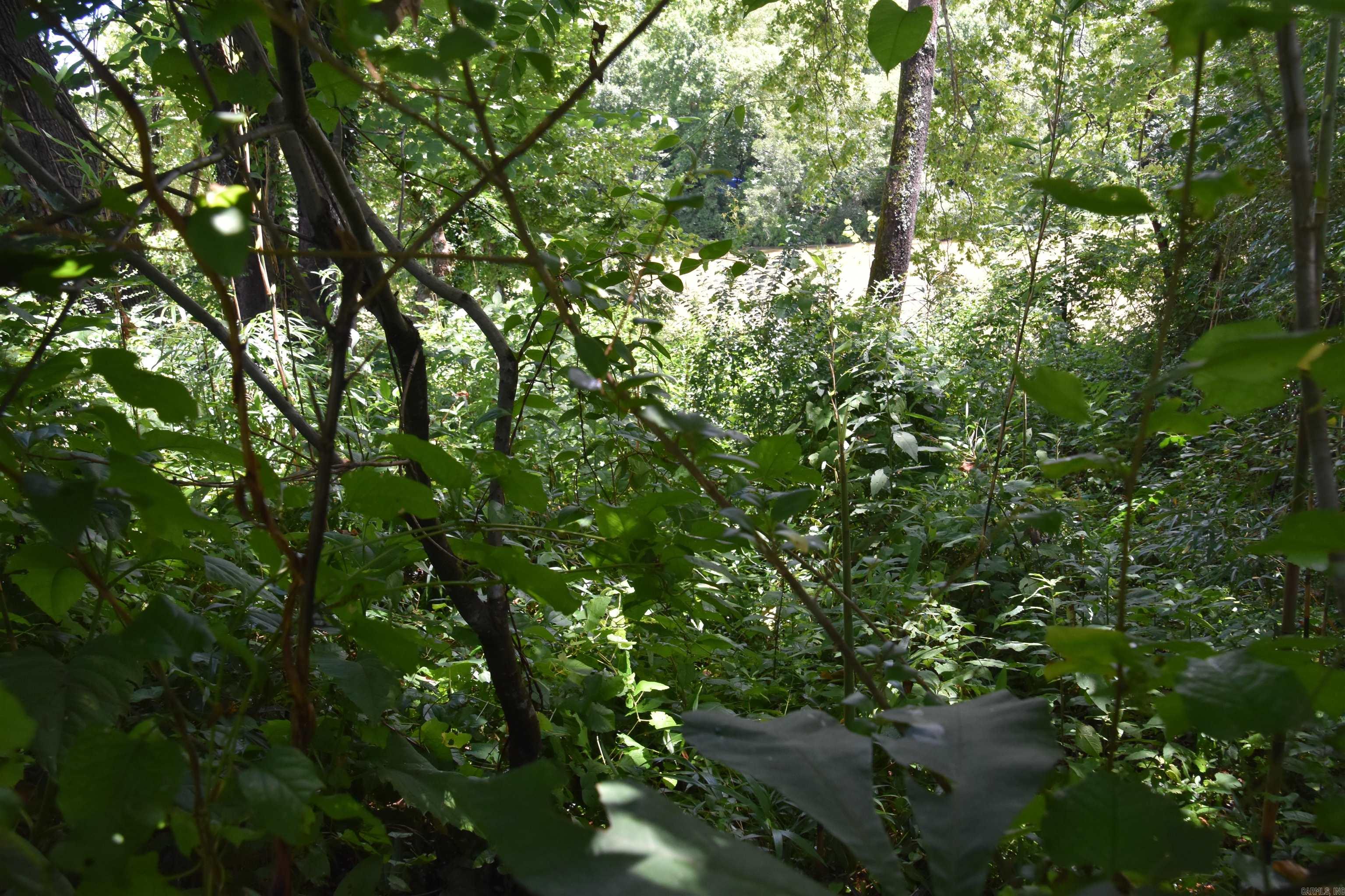 Lot 8  River Crest  Heber Springs, AR