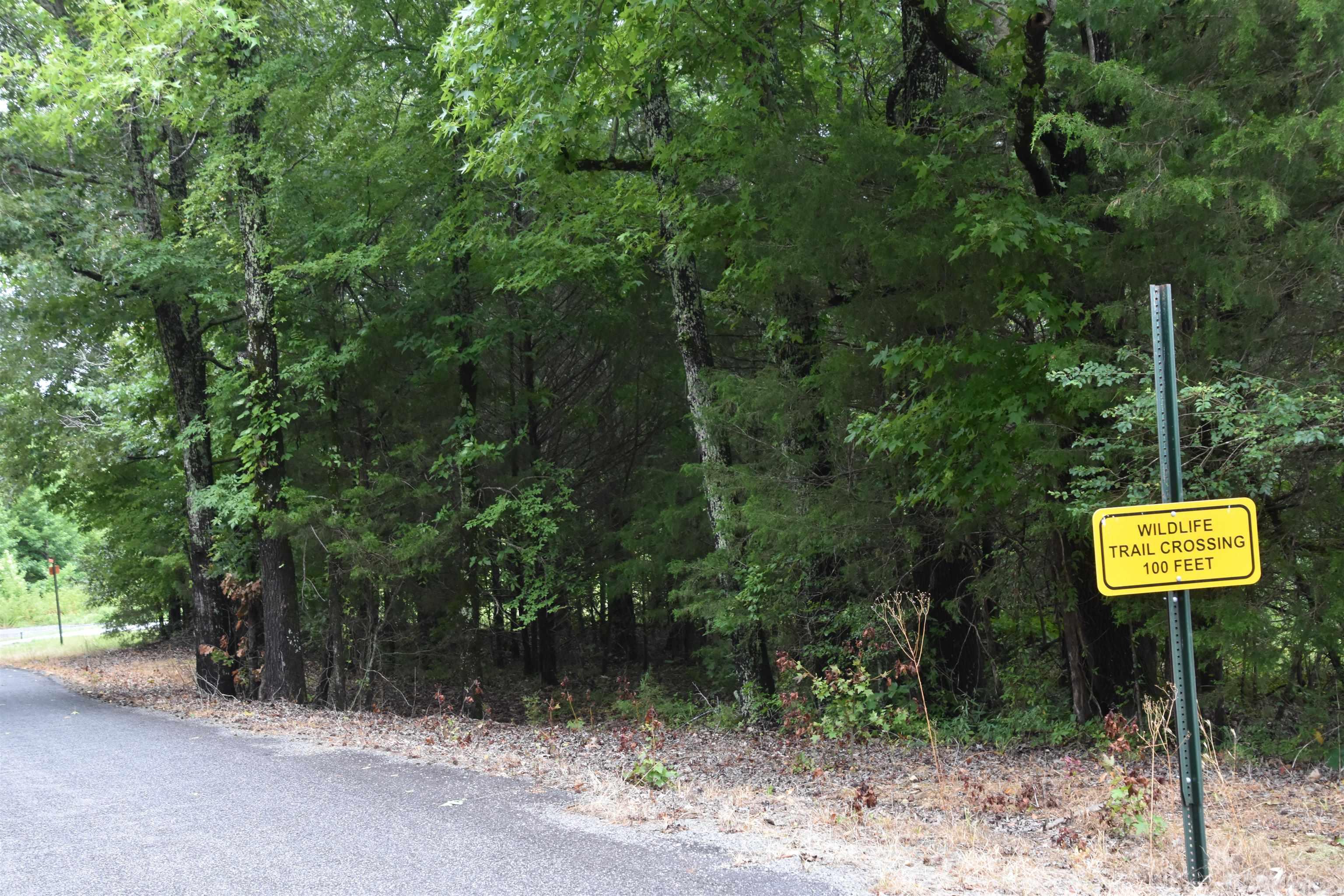 Lot 8  River Crest  Heber Springs, AR