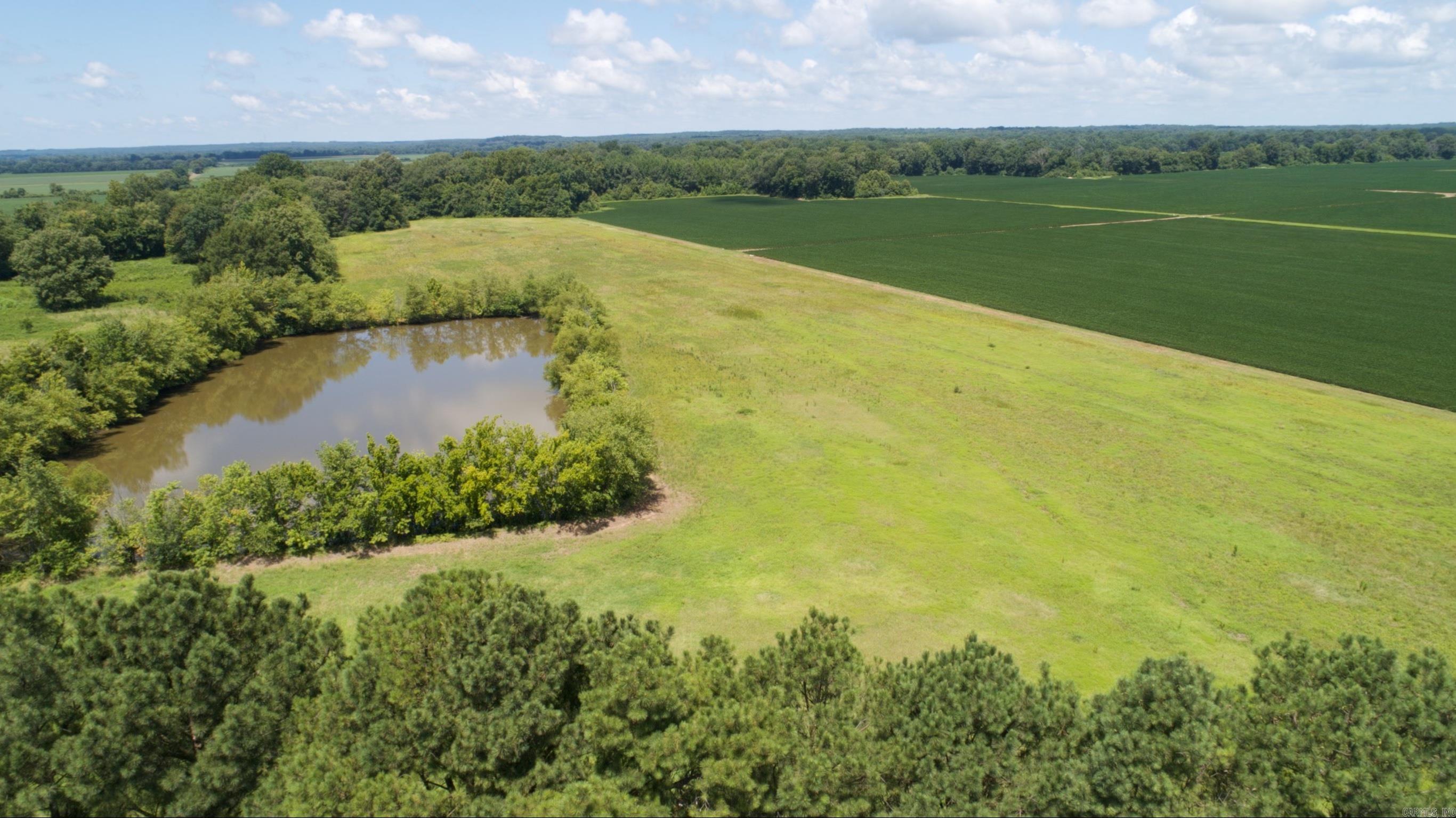 505  Highway 49  Rector, AR