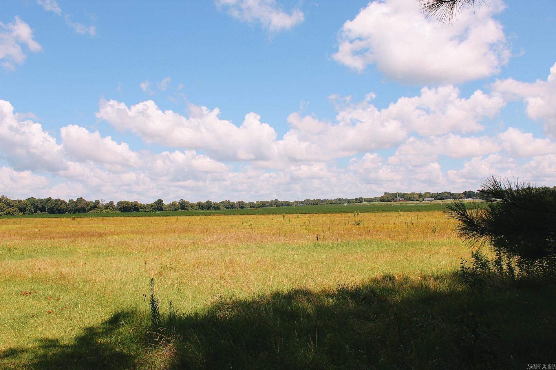 505  Highway 49  Rector, AR