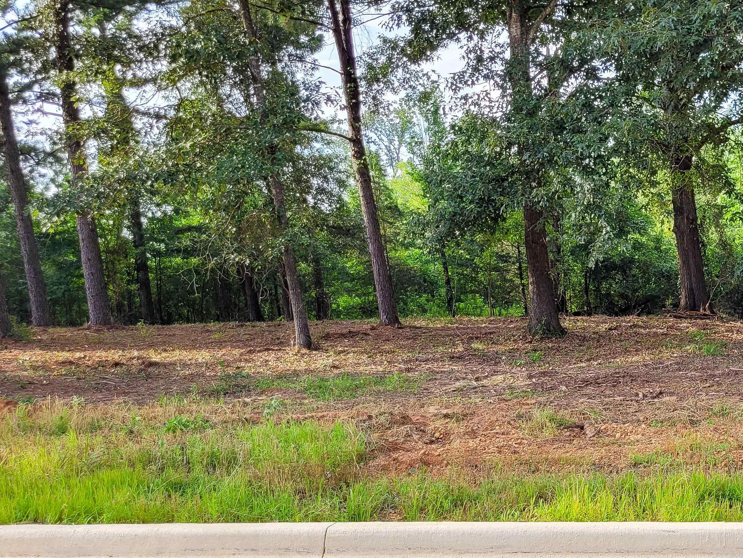 137  Leopard  De Queen, AR