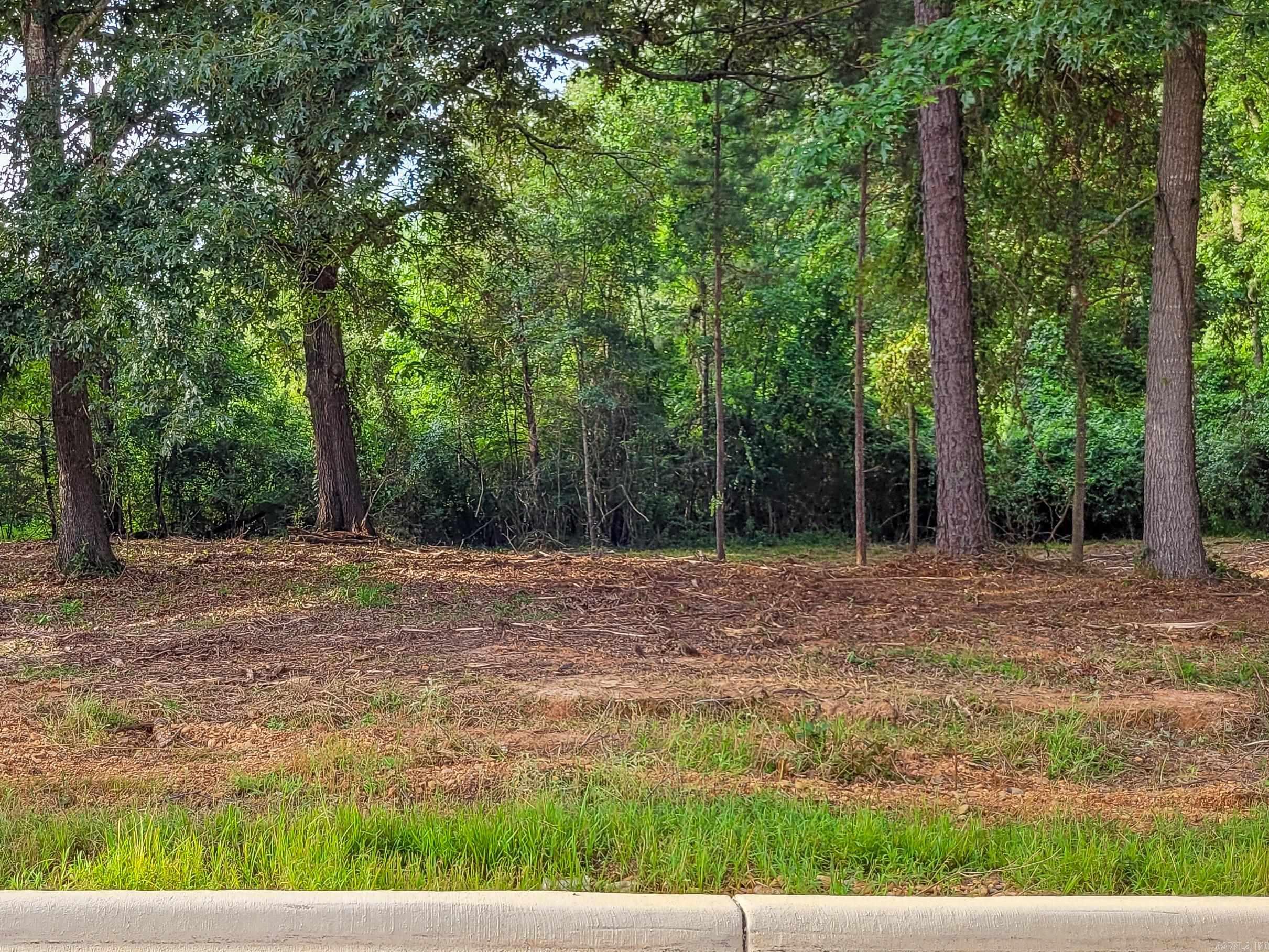 137  Leopard  De Queen, AR