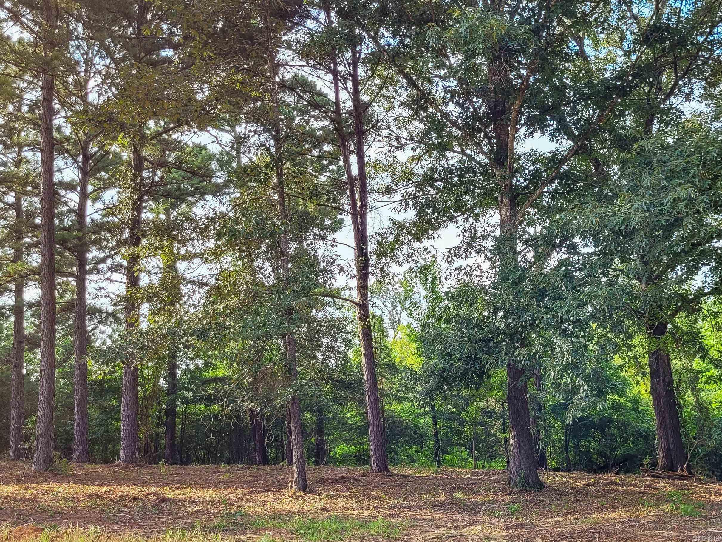 137  Leopard  De Queen, AR
