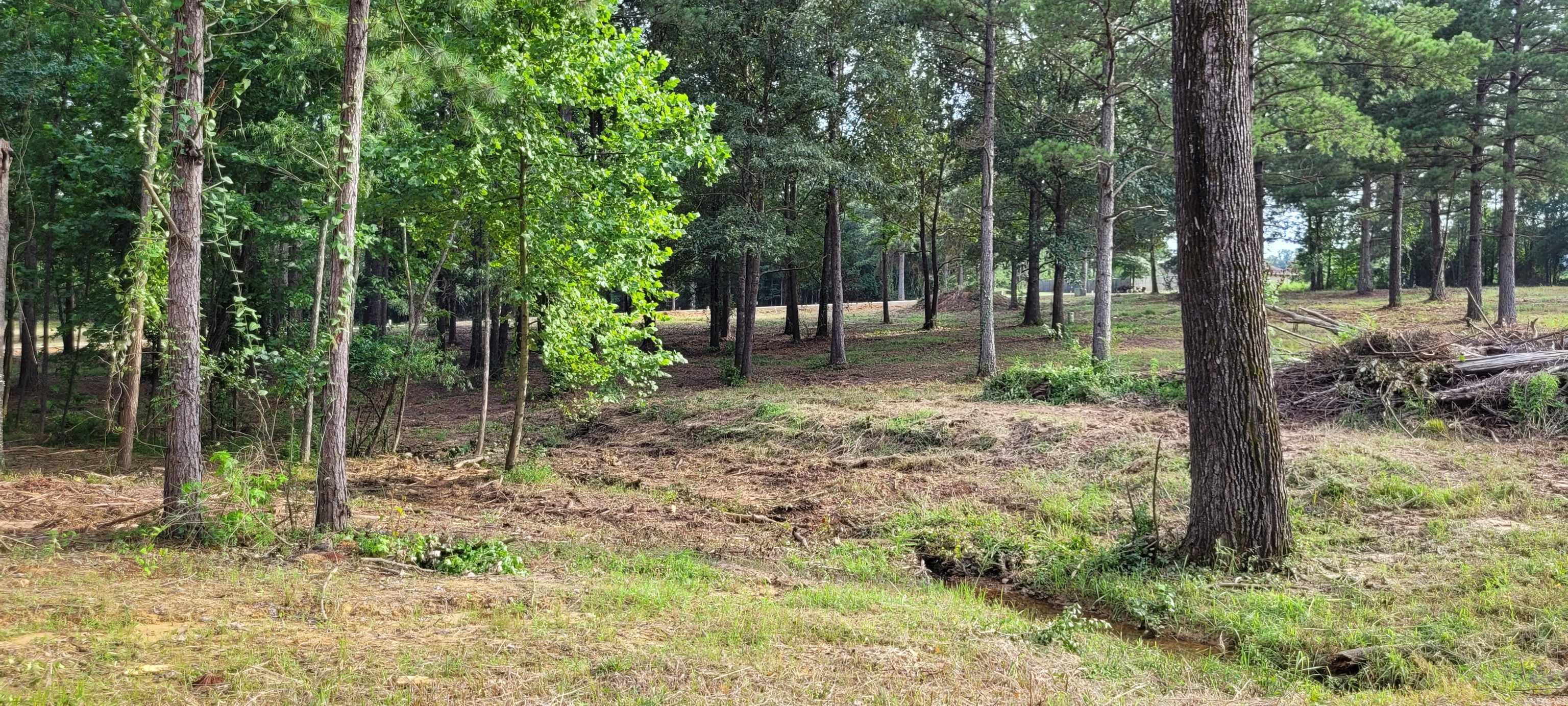 137  Leopard  De Queen, AR