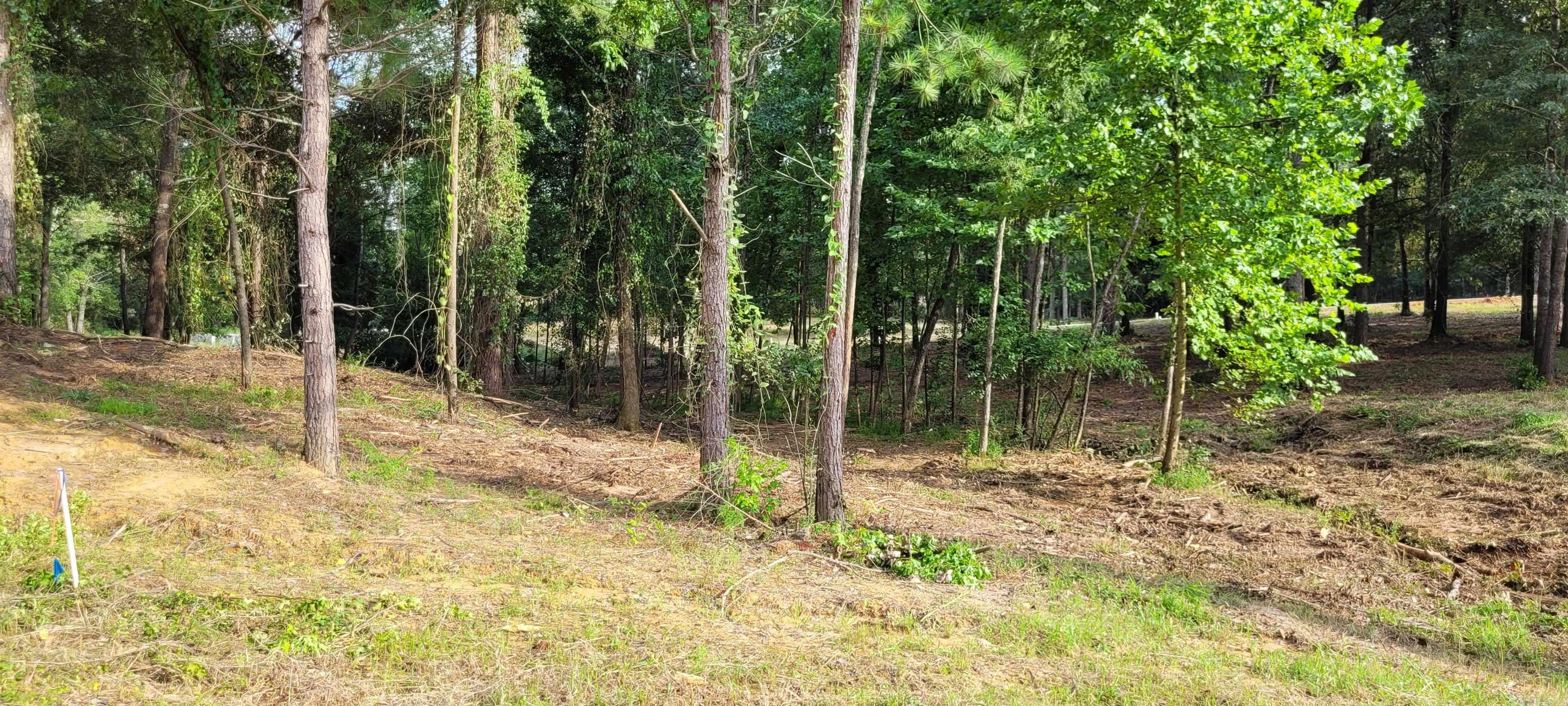 137  Leopard  De Queen, AR