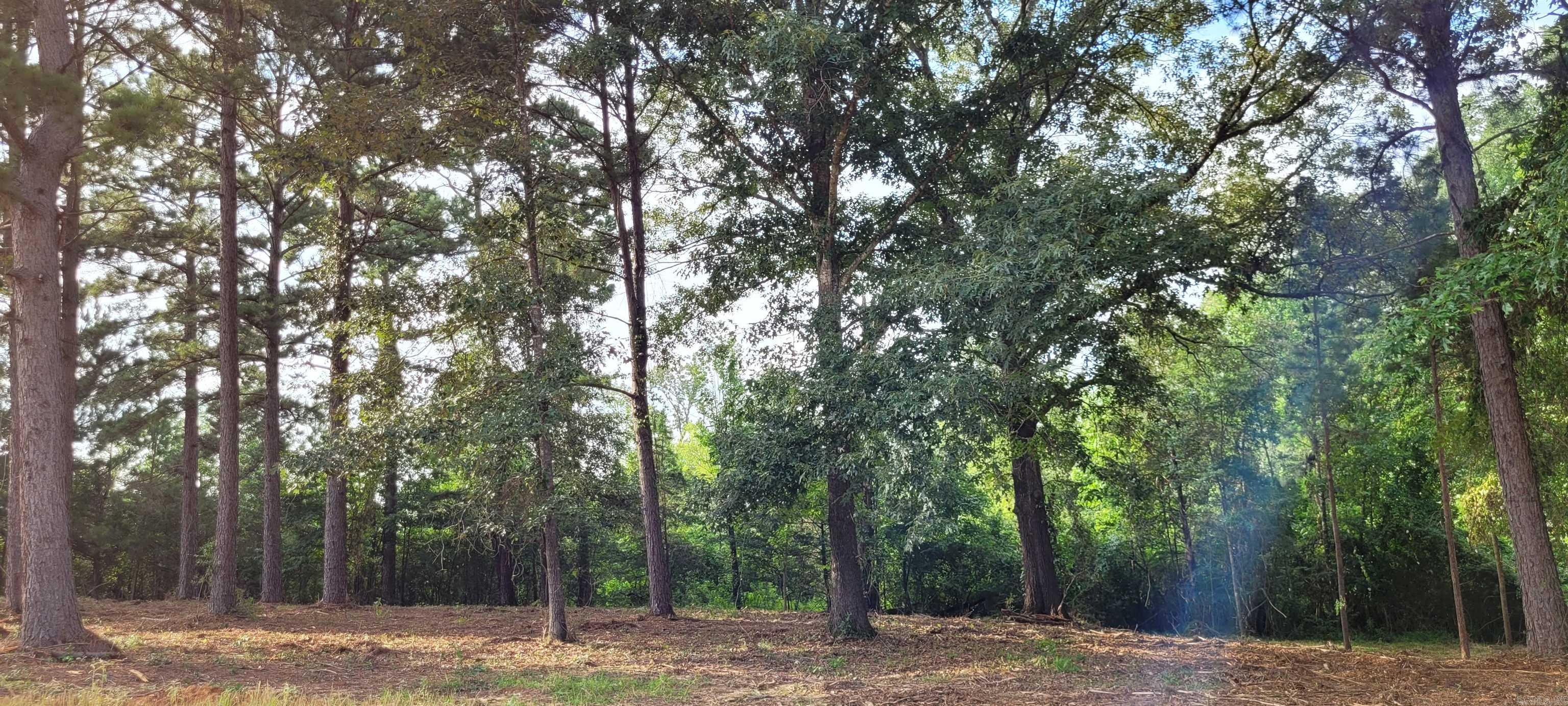 137  Leopard  De Queen, AR