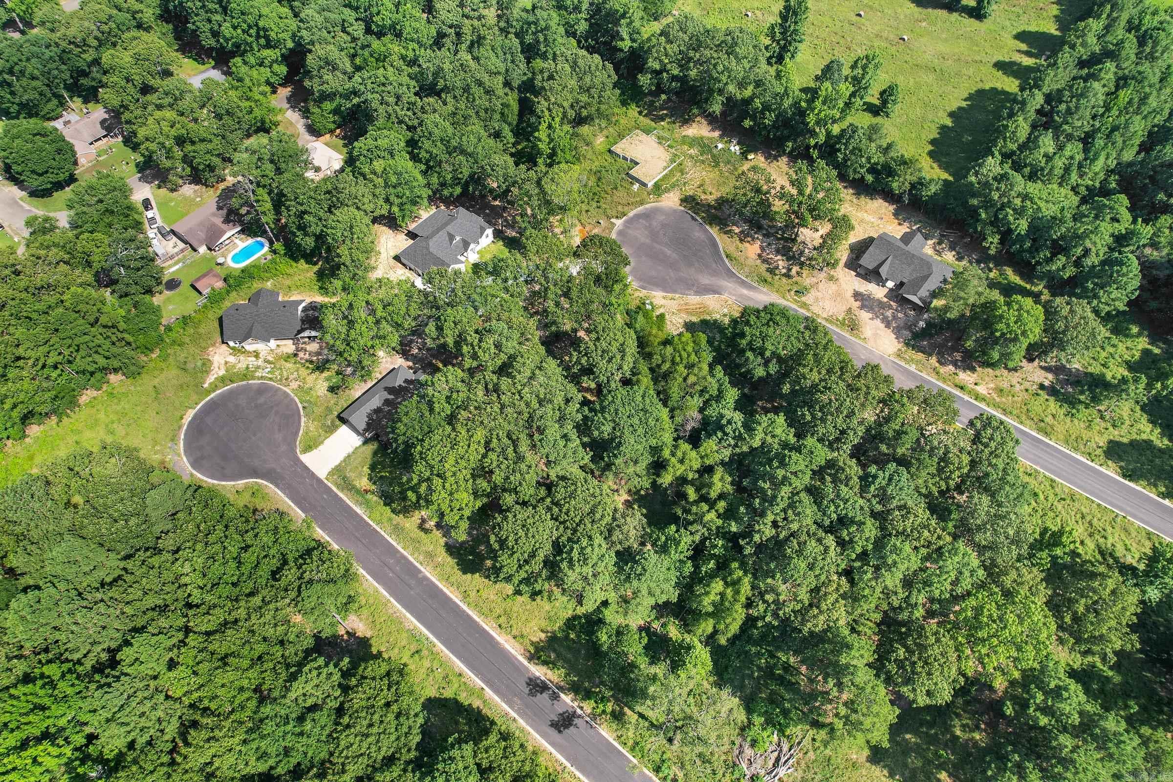 137  Leopard  De Queen, AR