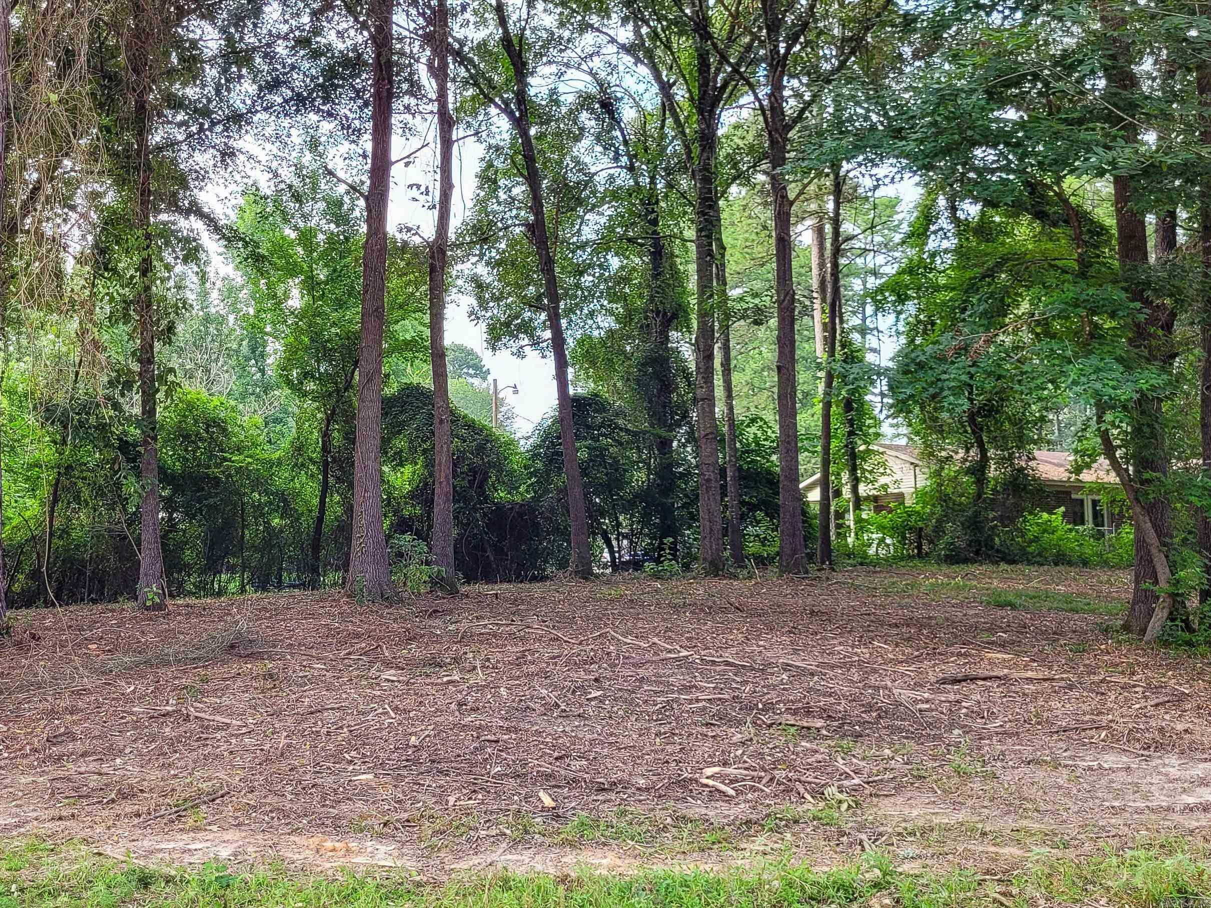 137  Leopard  De Queen, AR