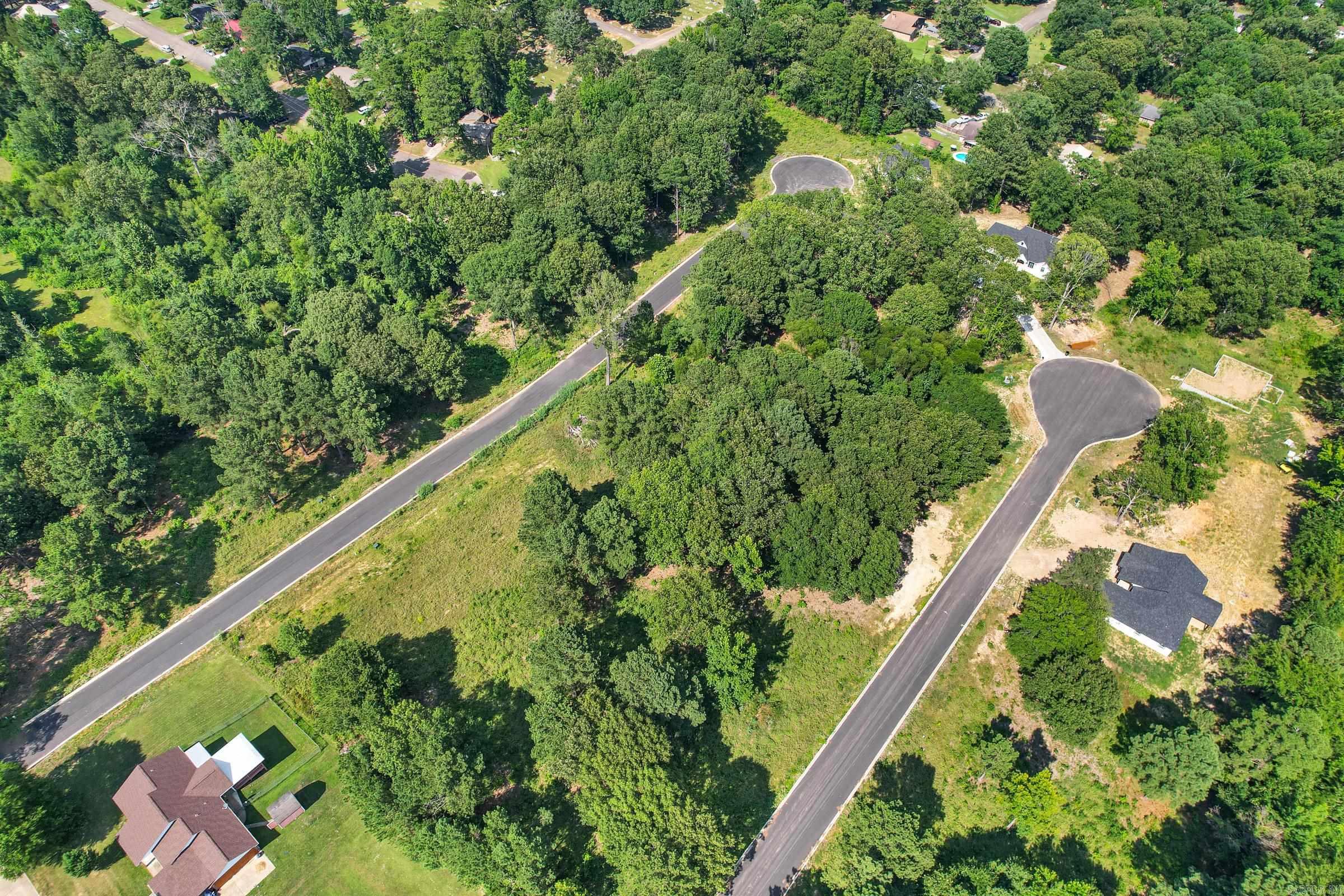 137  Leopard  De Queen, AR
