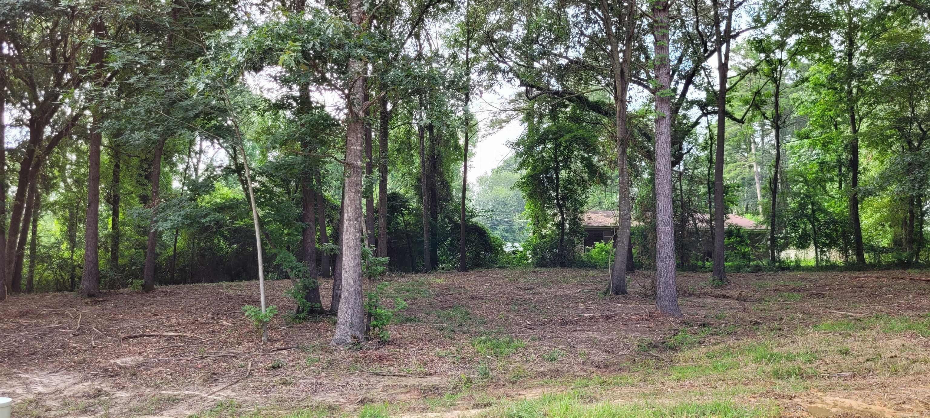 137  Leopard  De Queen, AR