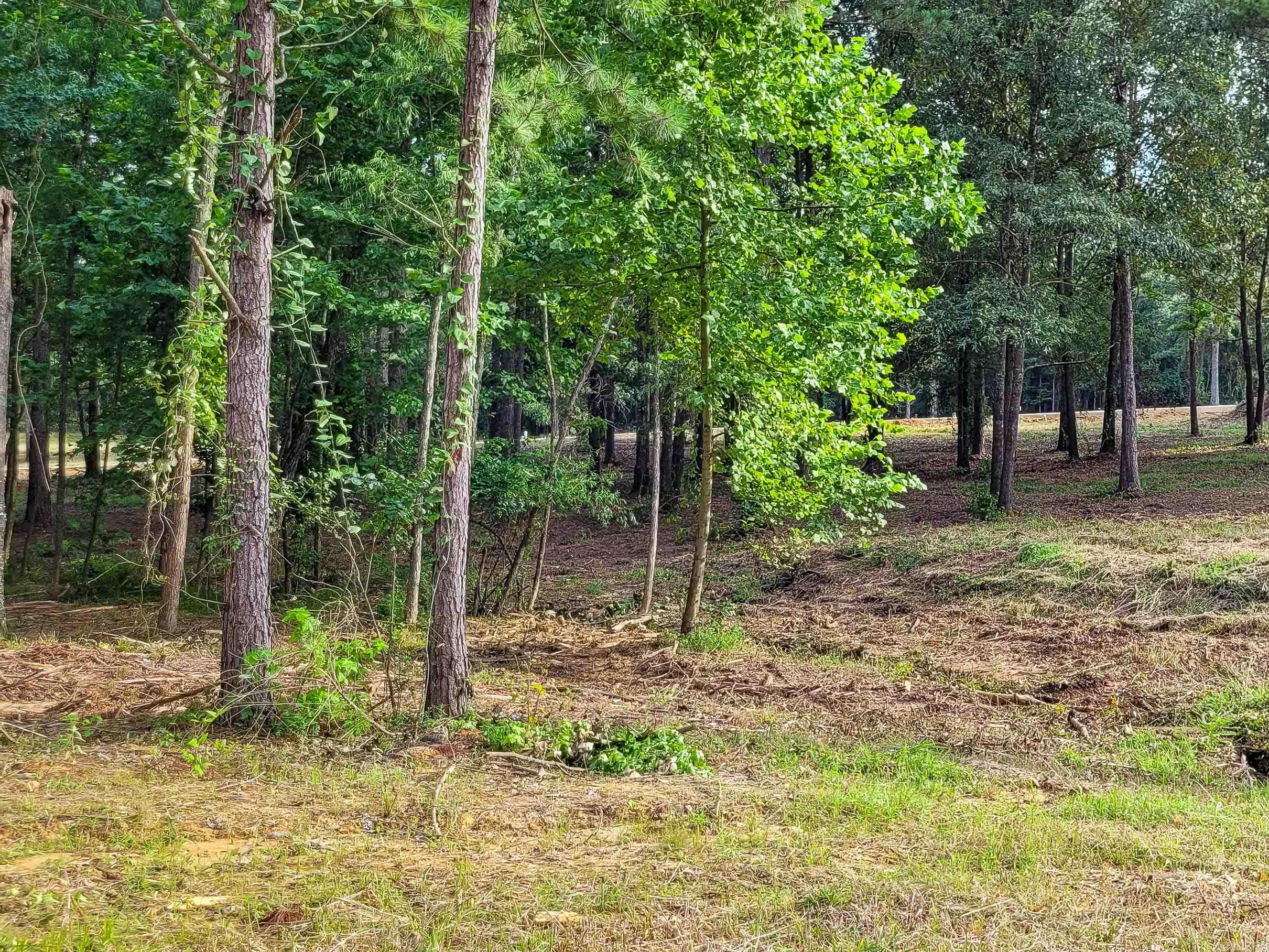 137  Leopard  De Queen, AR