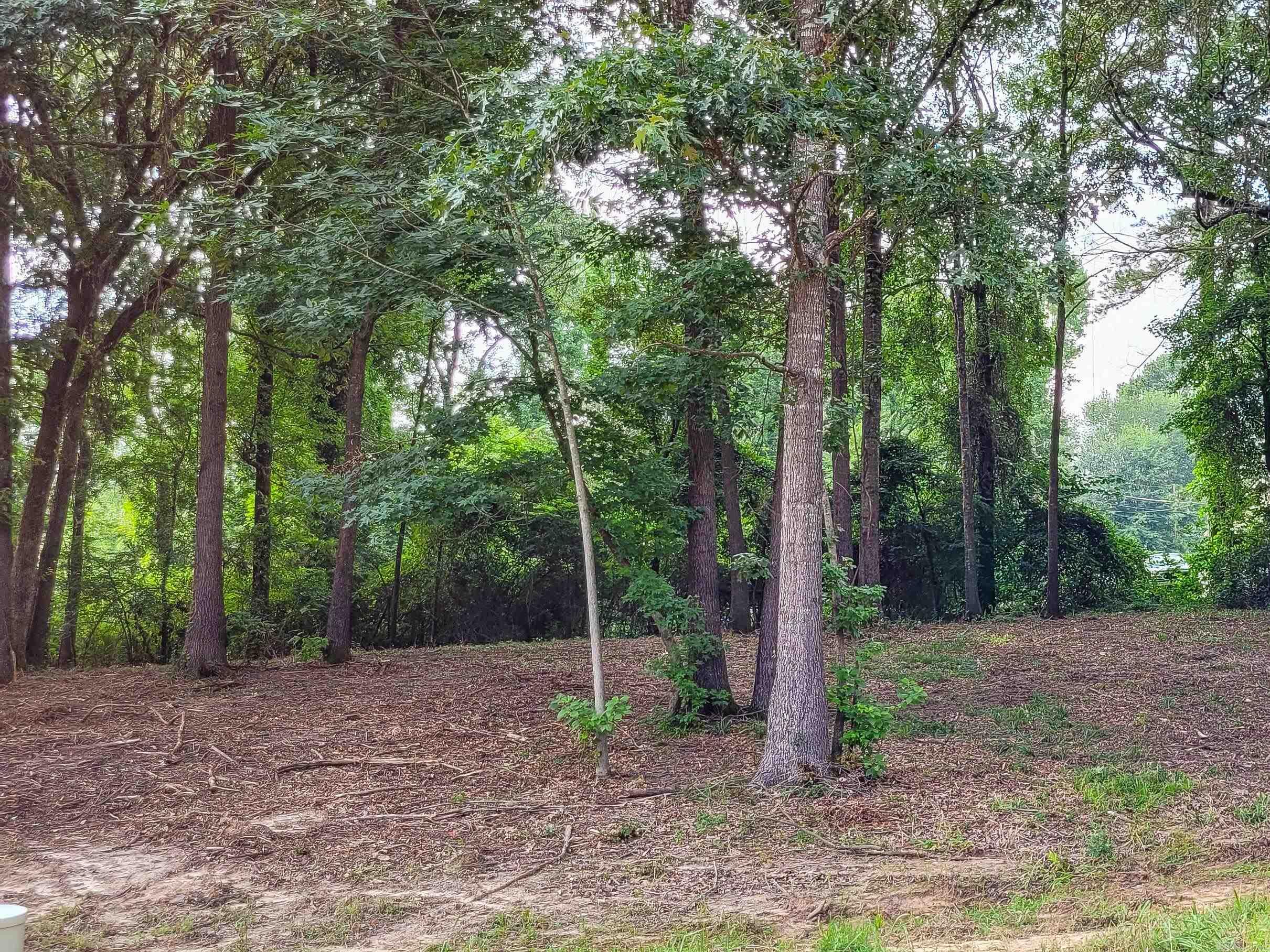 137  Leopard  De Queen, AR
