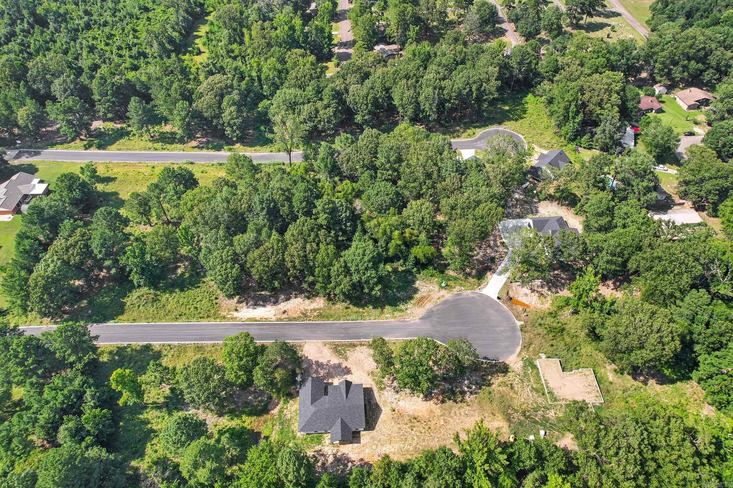 137  Leopard  De Queen, AR
