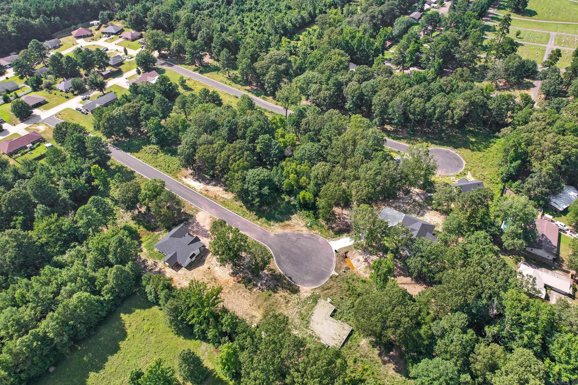 137  Leopard  De Queen, AR