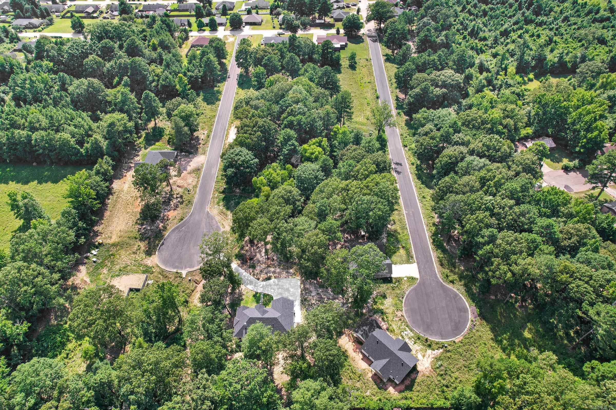 137  Leopard  De Queen, AR