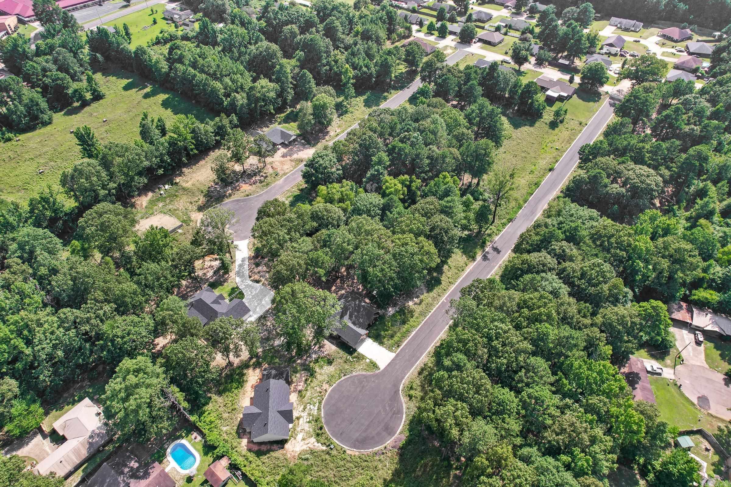 137  Leopard  De Queen, AR