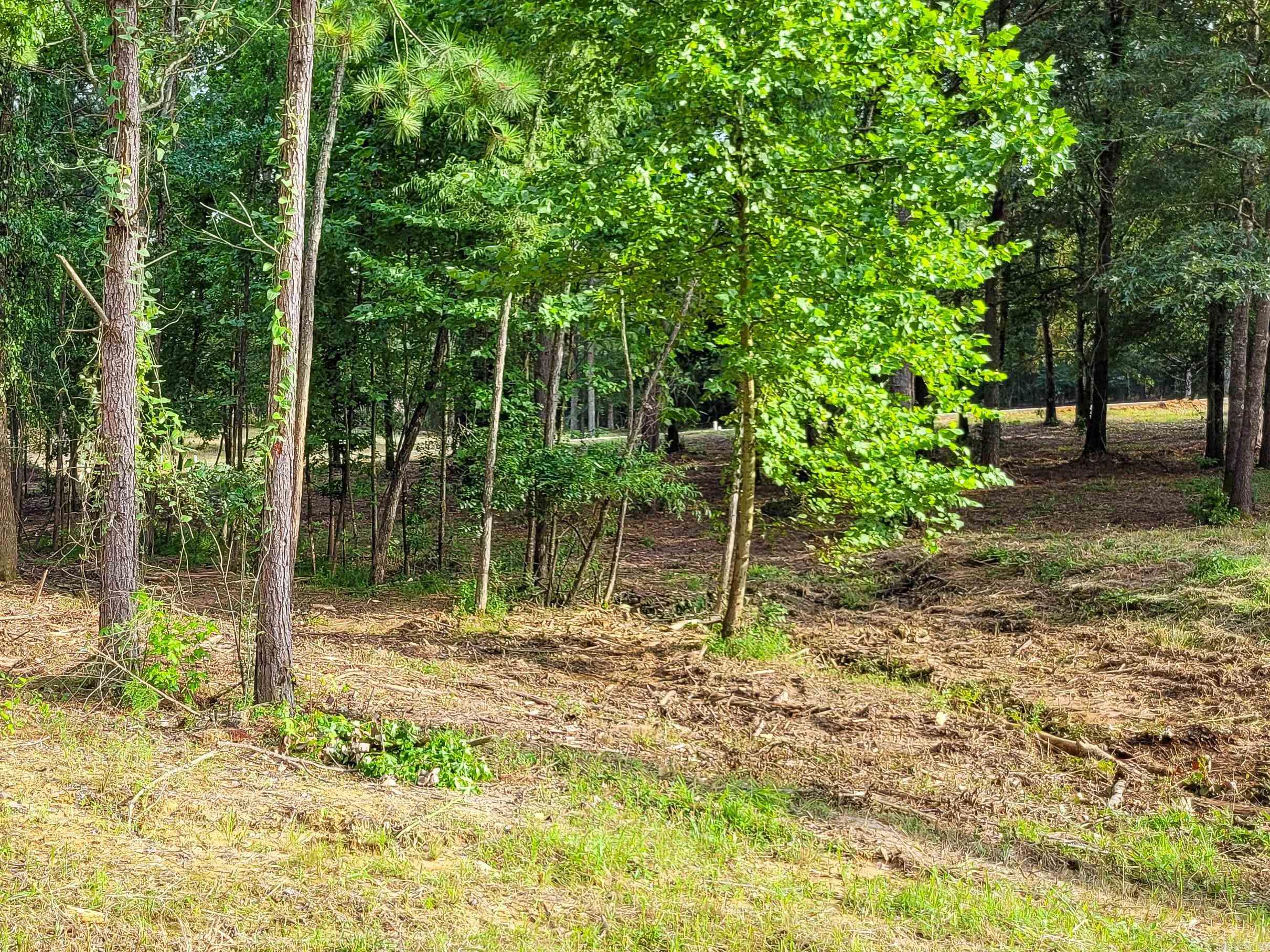 137  Leopard  De Queen, AR