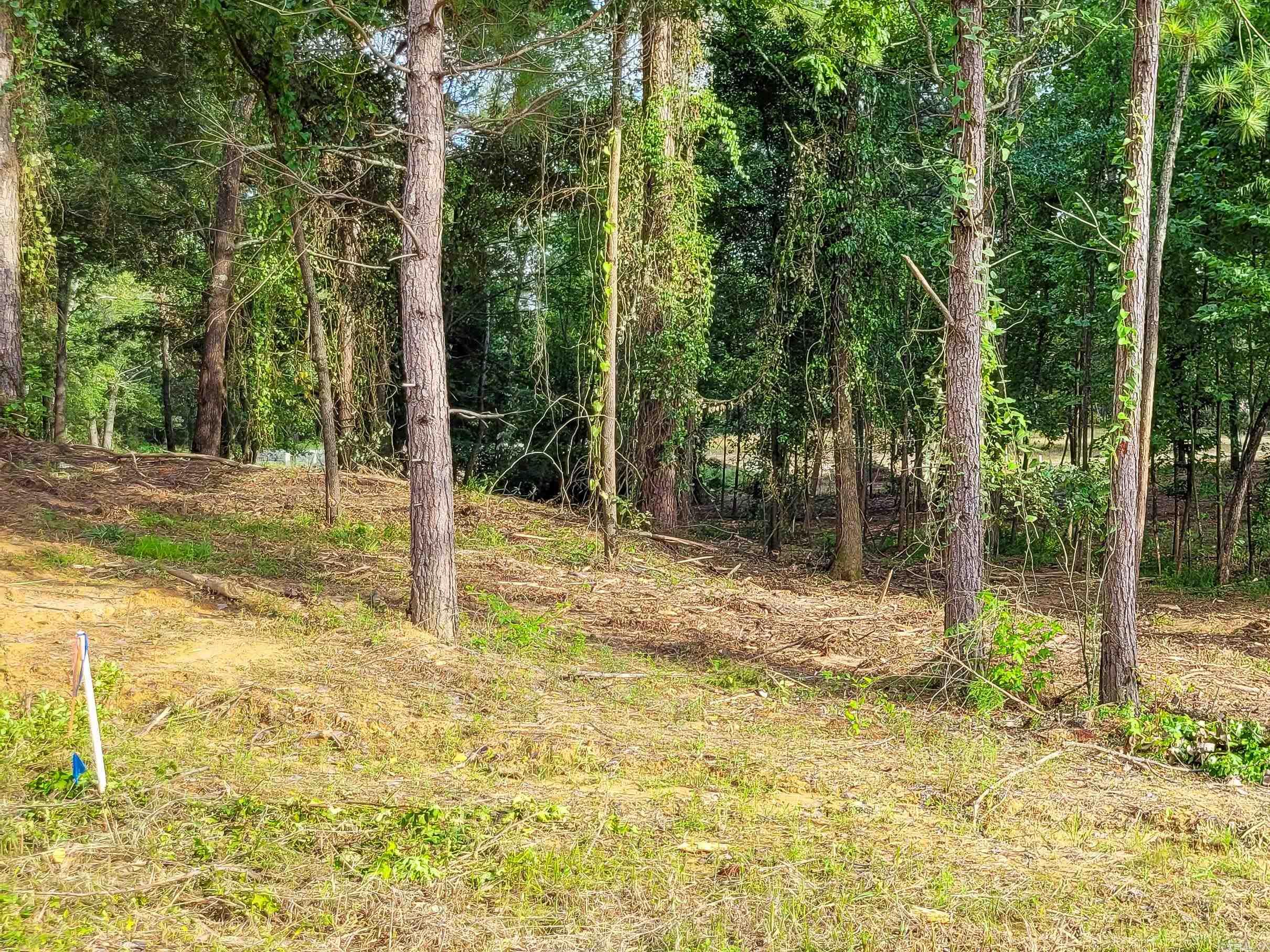 145  Leopard  De Queen, AR