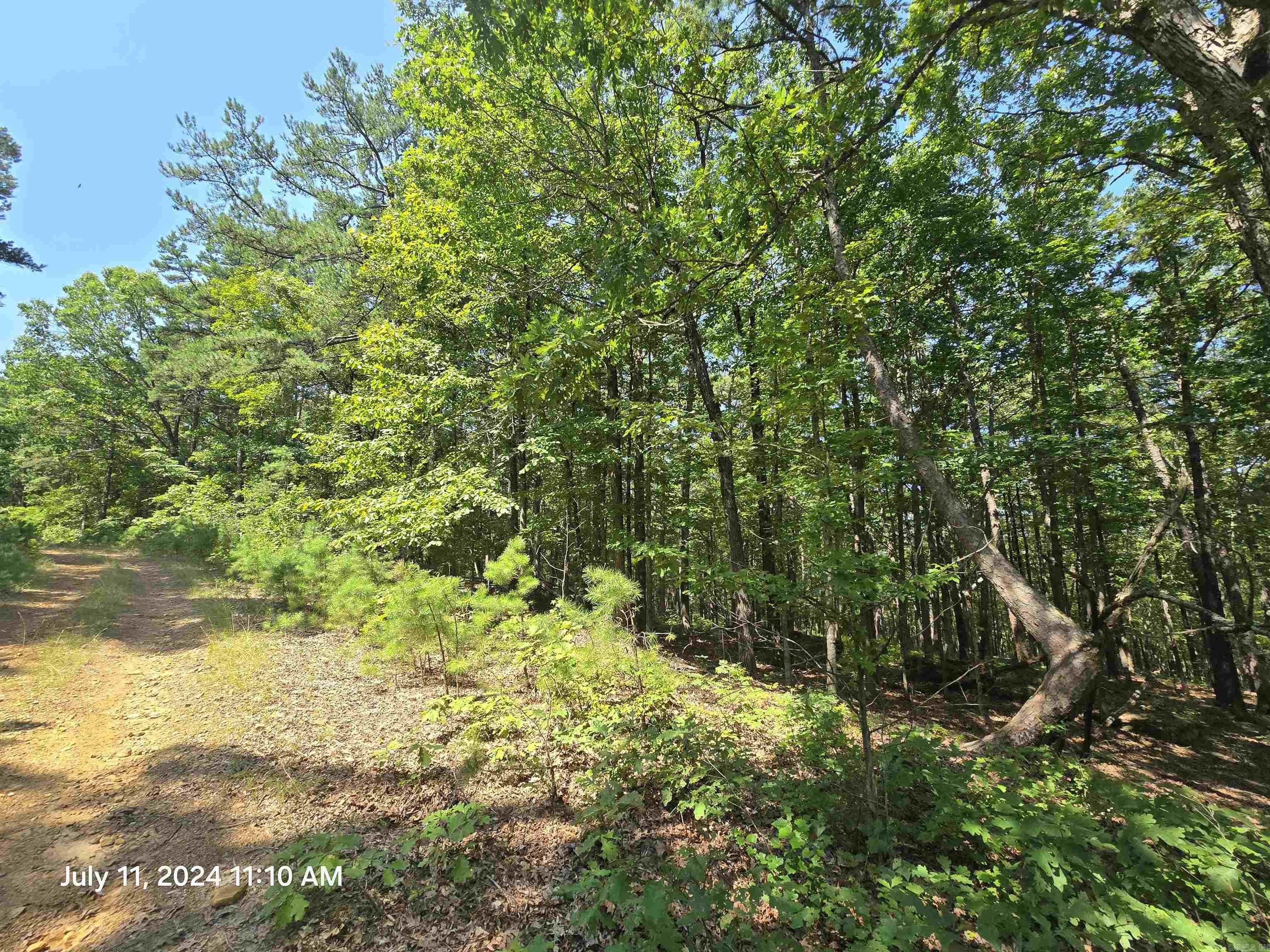 0  Diamond Ln  Fairfield Bay, AR