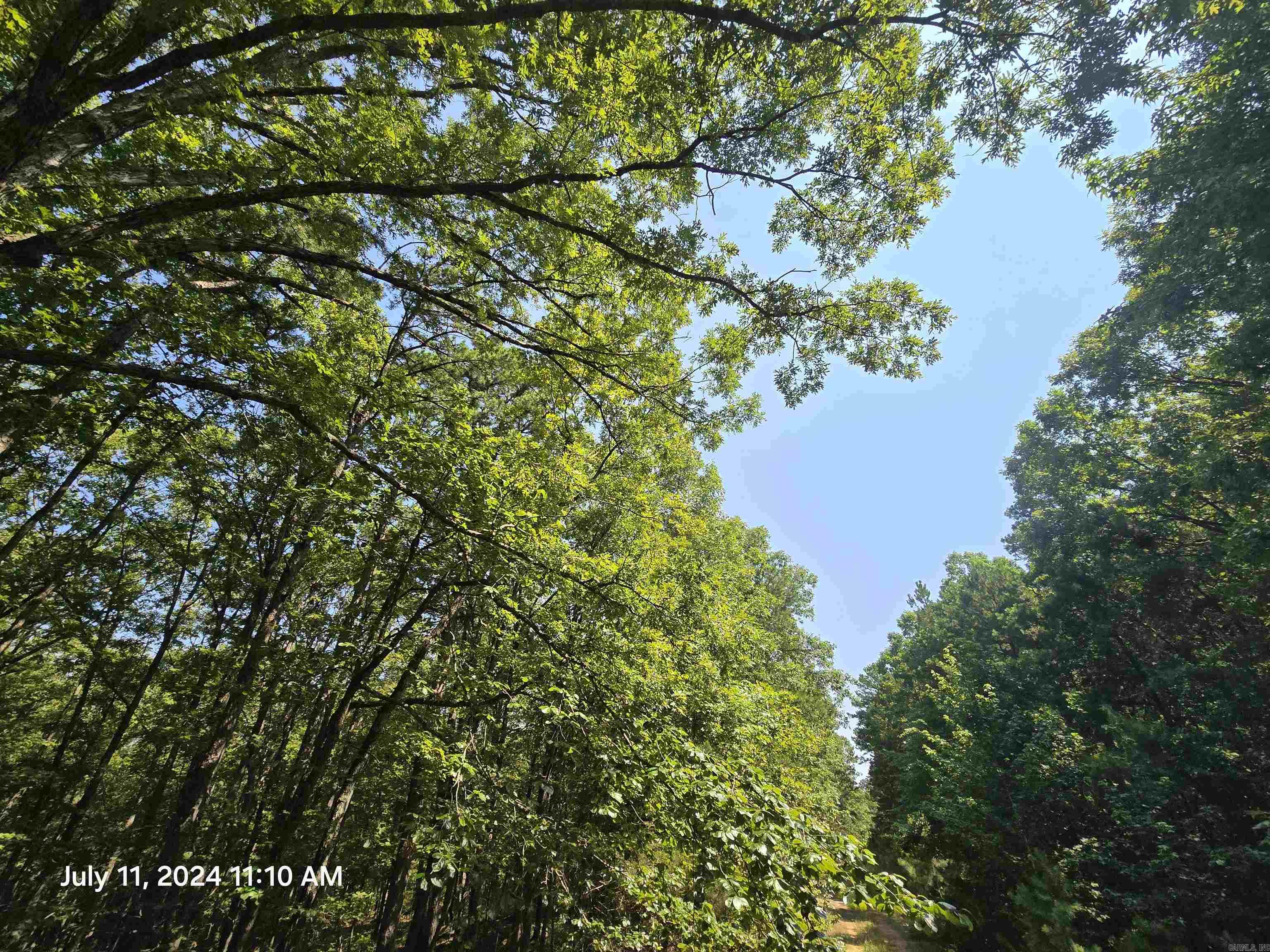 0  Diamond Ln  Fairfield Bay, AR