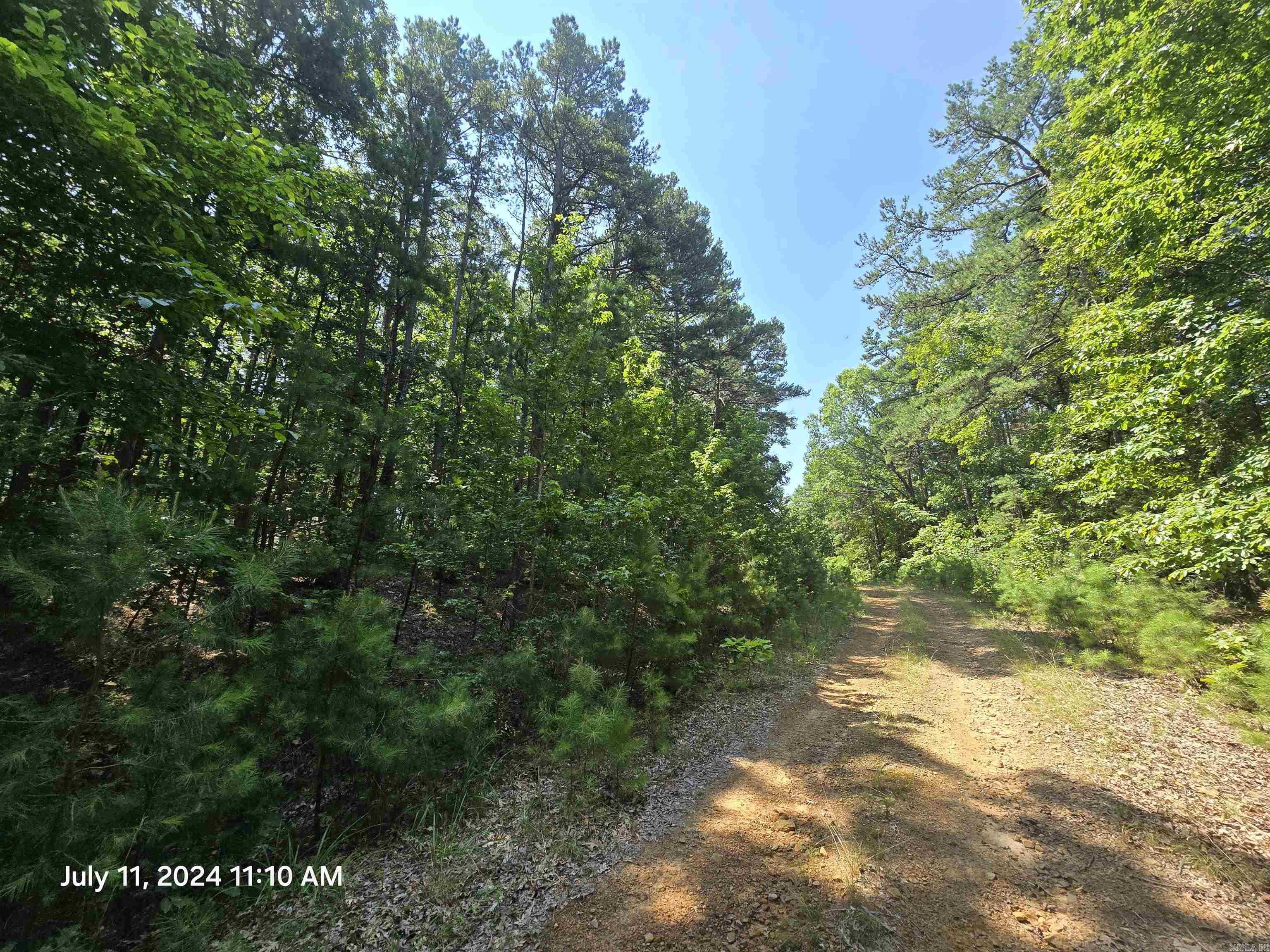 0  Diamond Ln  Fairfield Bay, AR