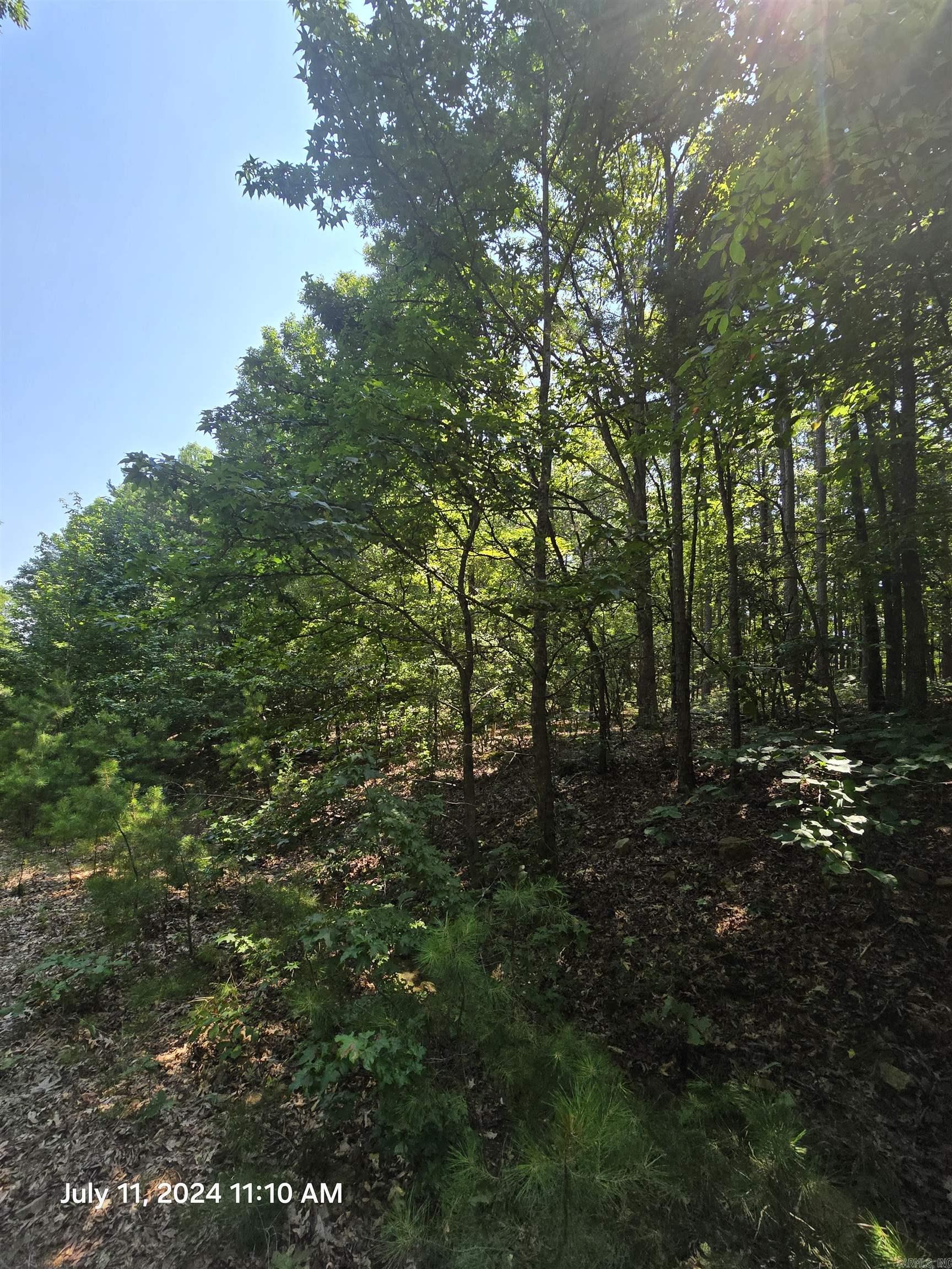 0  Diamond Ln  Fairfield Bay, AR