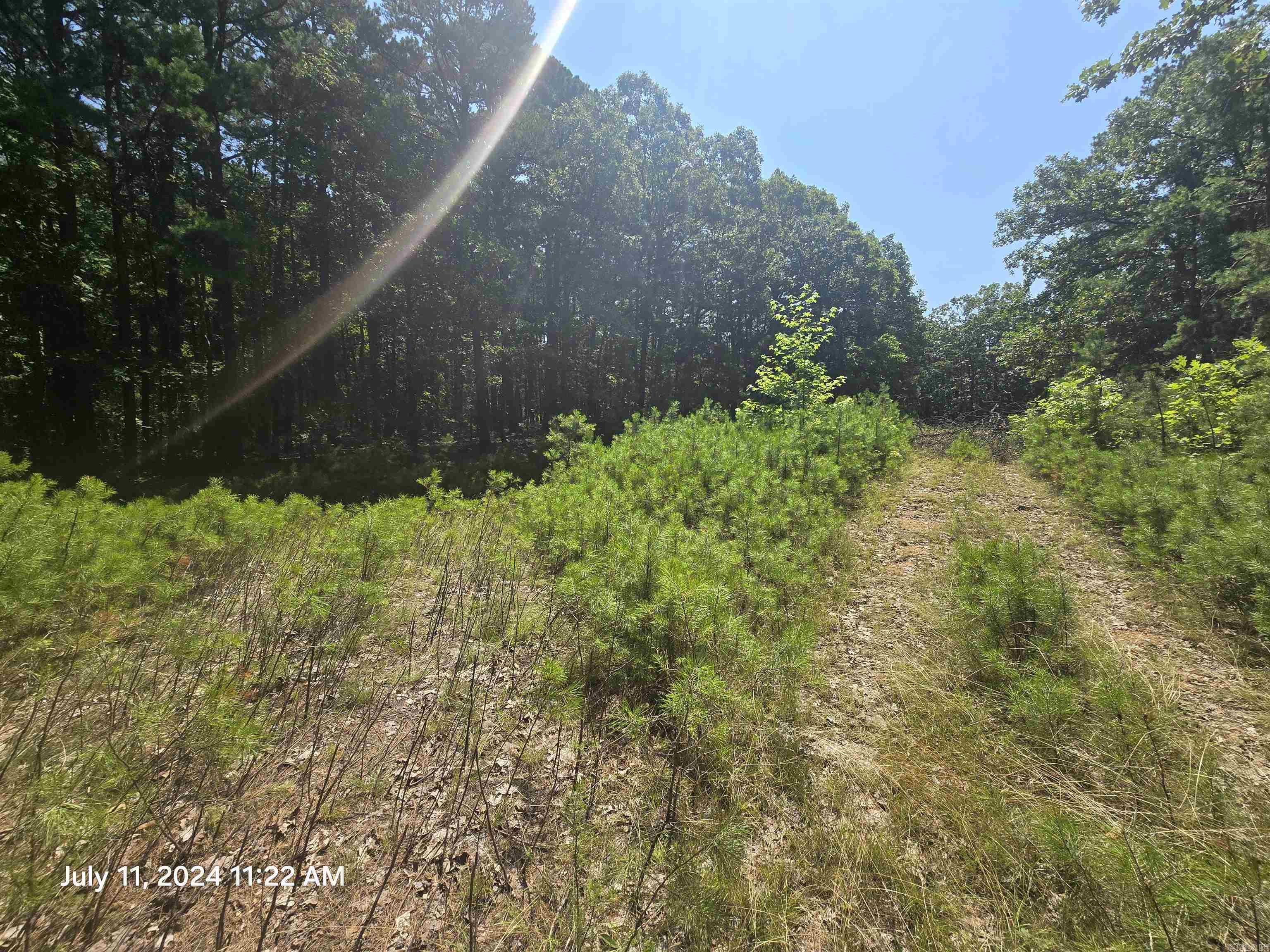 0  Sunnyvale Ct  Fairfield Bay, AR