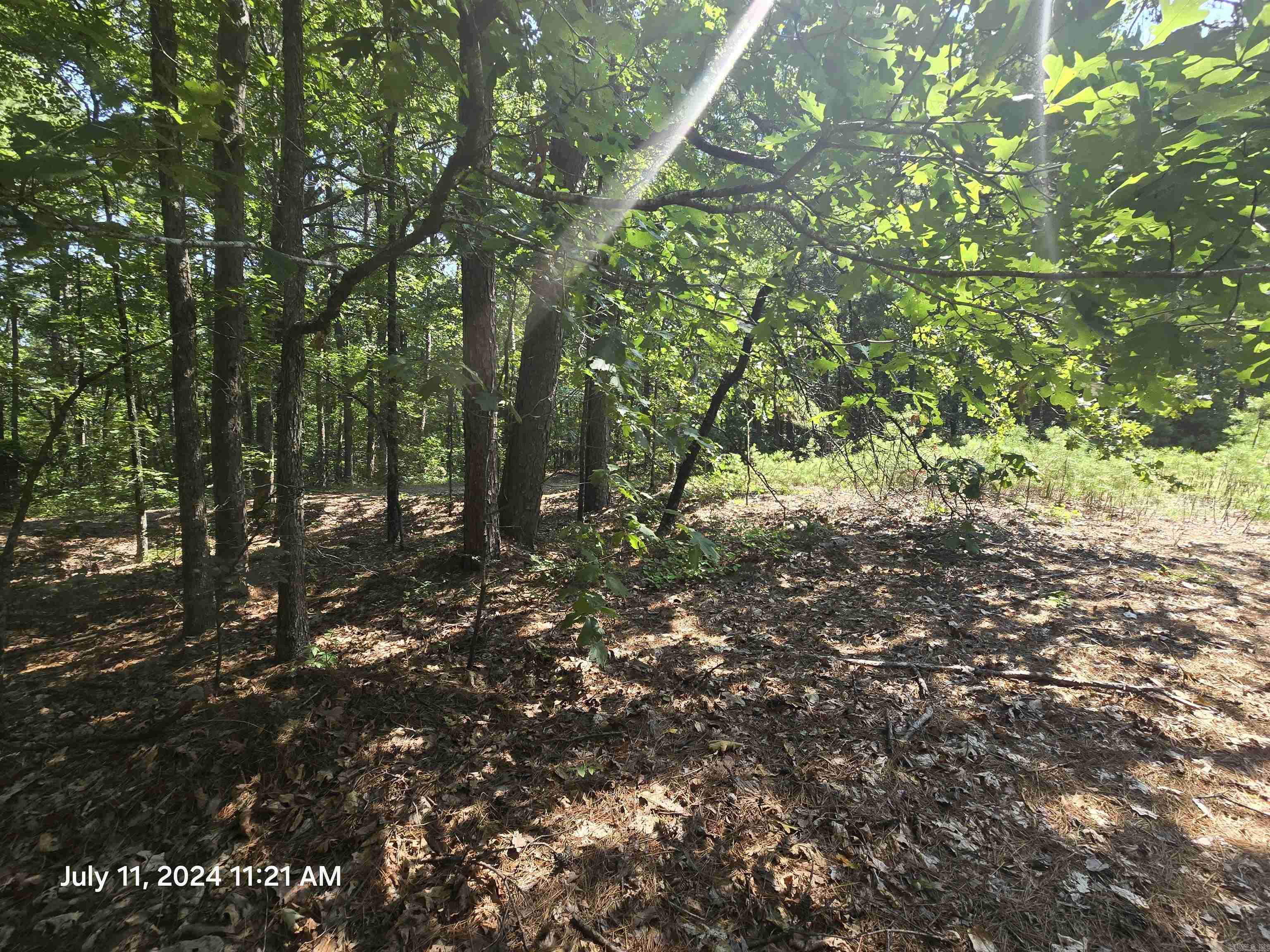 0  Sunnyvale Ct  Fairfield Bay, AR