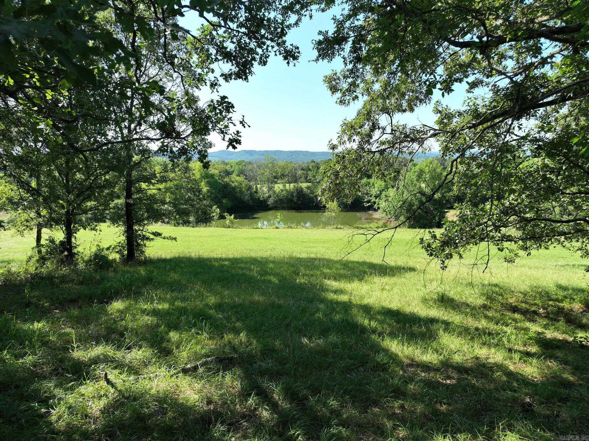 132  Deshong Lane  Mena, AR
