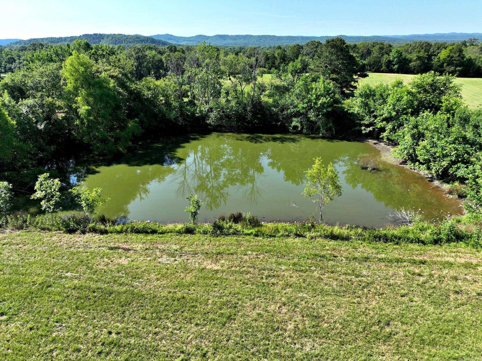 132  Deshong Lane  Mena, AR