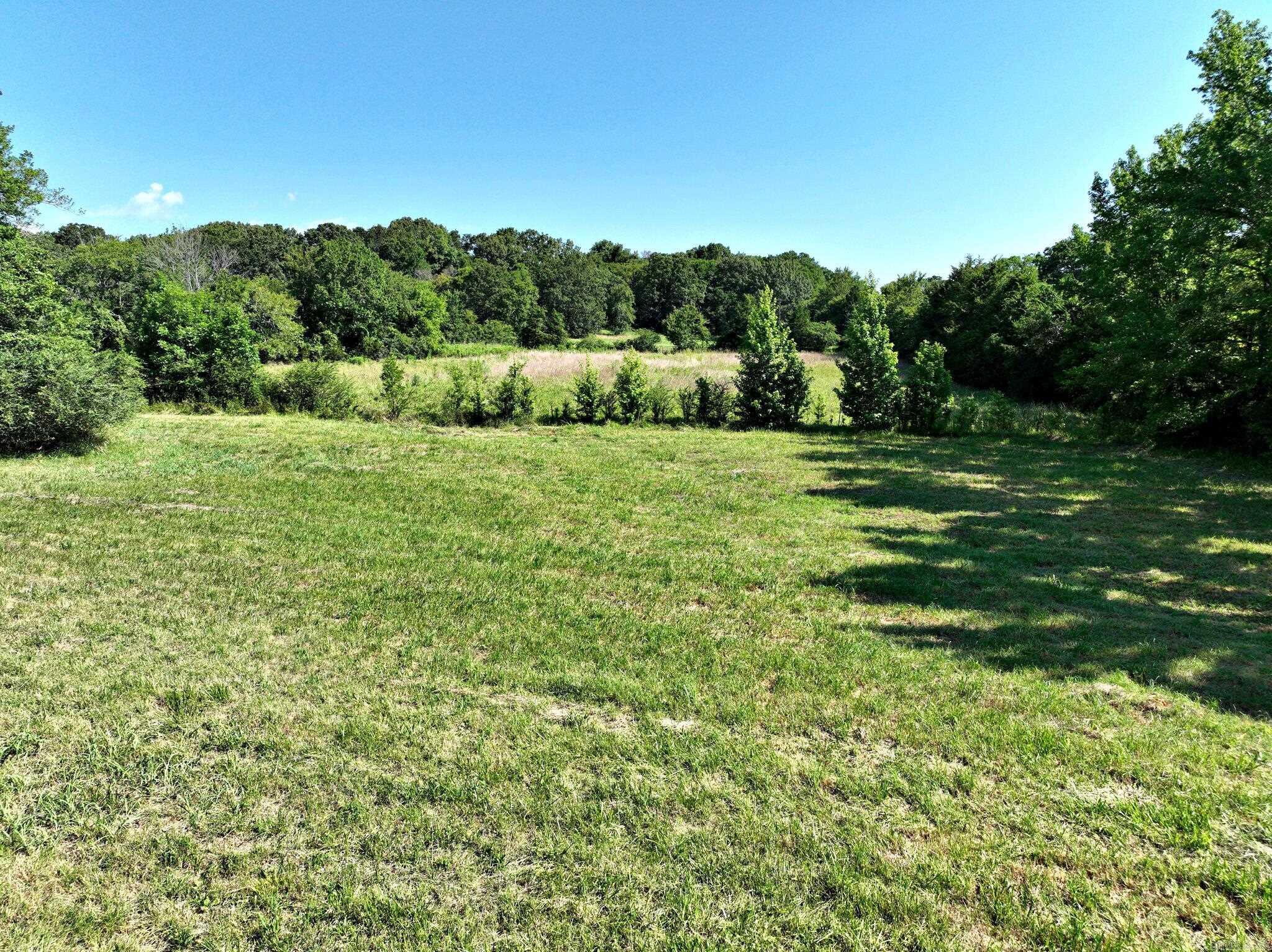 132  Deshong Lane  Mena, AR