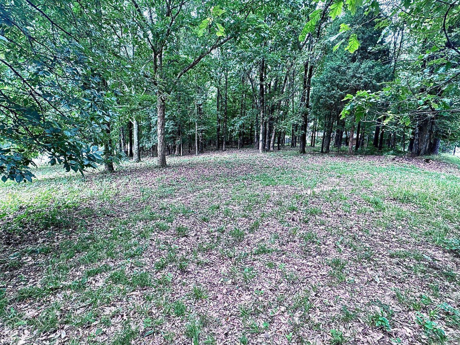 1  Caraway@Greensboro  Jonesboro, AR